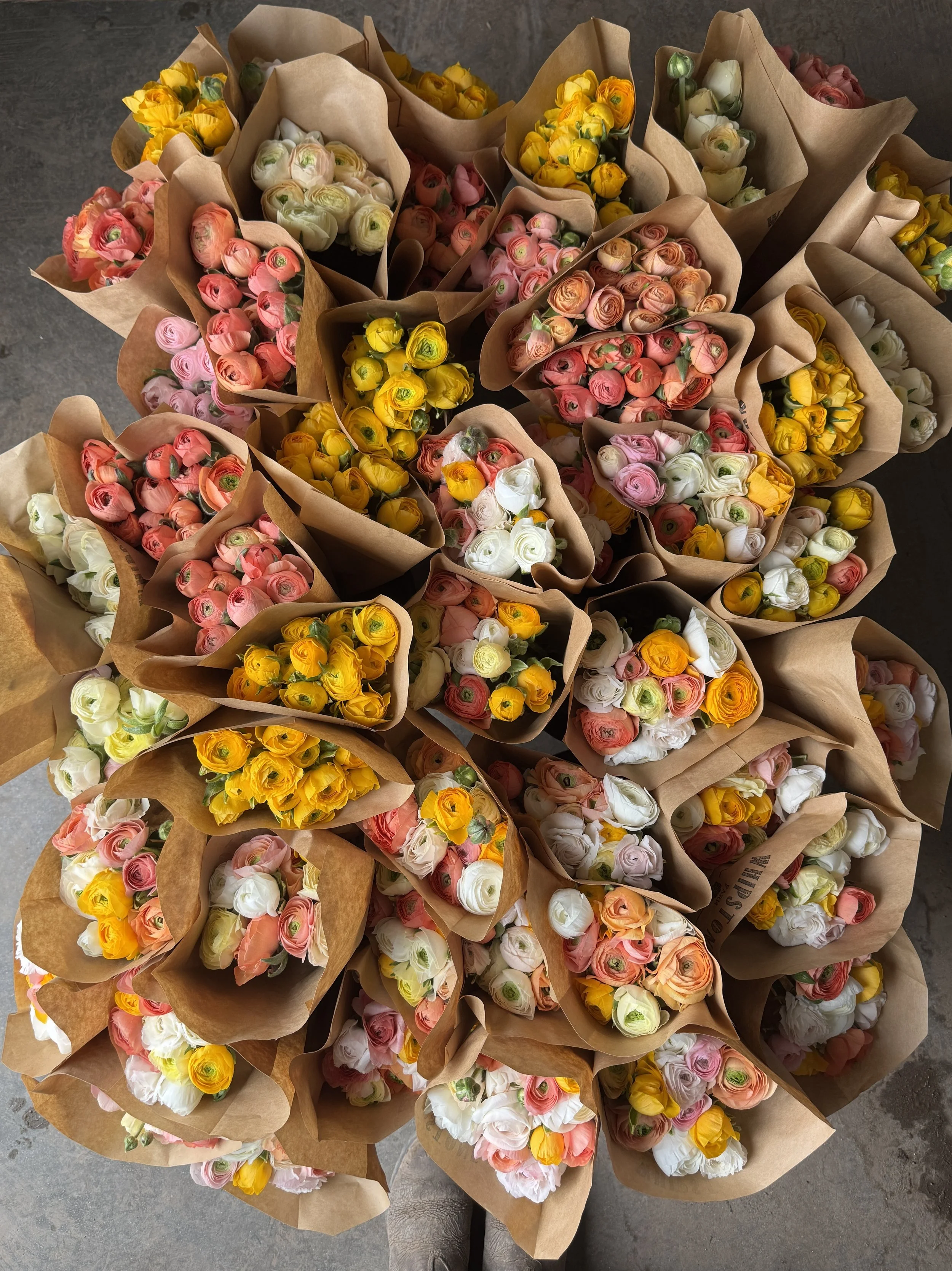 mixed ranunculus bunches