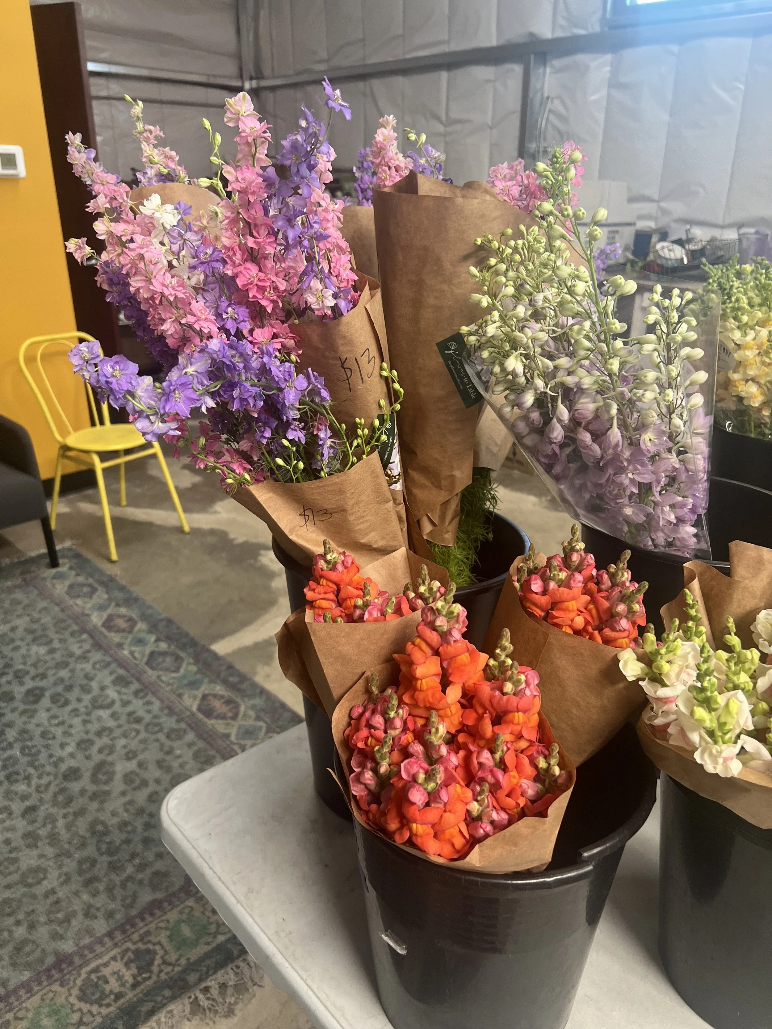 Wholesale buckets of flowers for sale at the Arizona Flower Collective