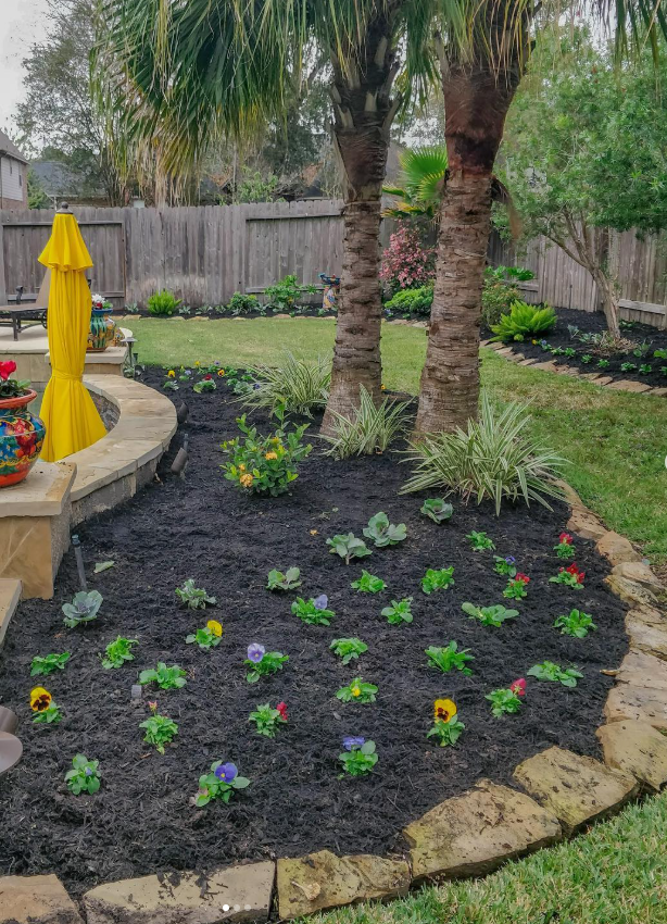 A backyard garden with two tall palm trees surrounded by flowering plants, shrubs, and a stone border, with a lawn and wooden fence in the background.
