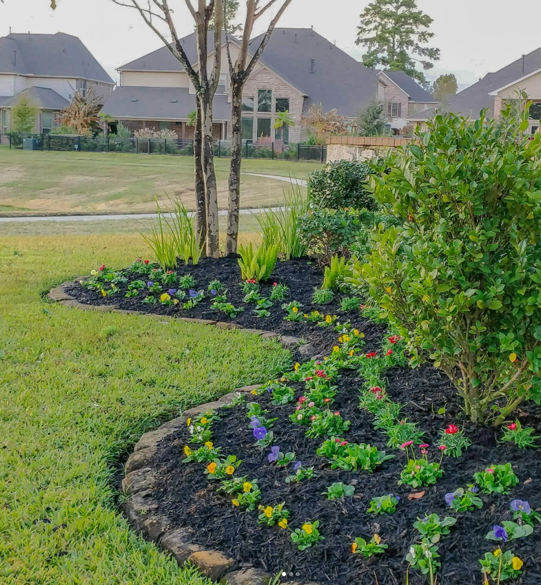 A landscaped yard with a curved flower bed containing colorful flowers and green plants, a young tree with multiple trunks, and a background of suburban houses with gray roofs and well-maintained lawns.