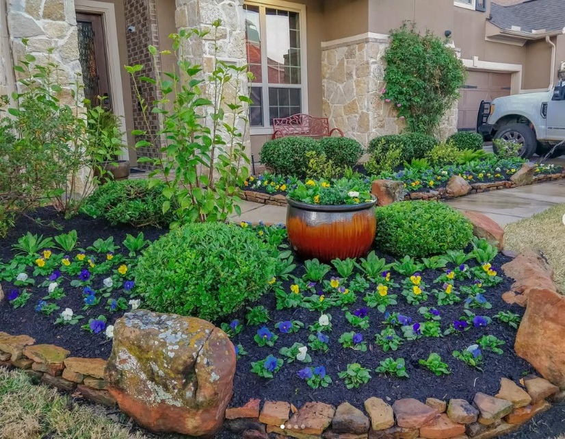 A well-maintained front yard garden with colorful blooming flowers, green bushes, and a large ceramic pot, bordered with rocks, outside a house.