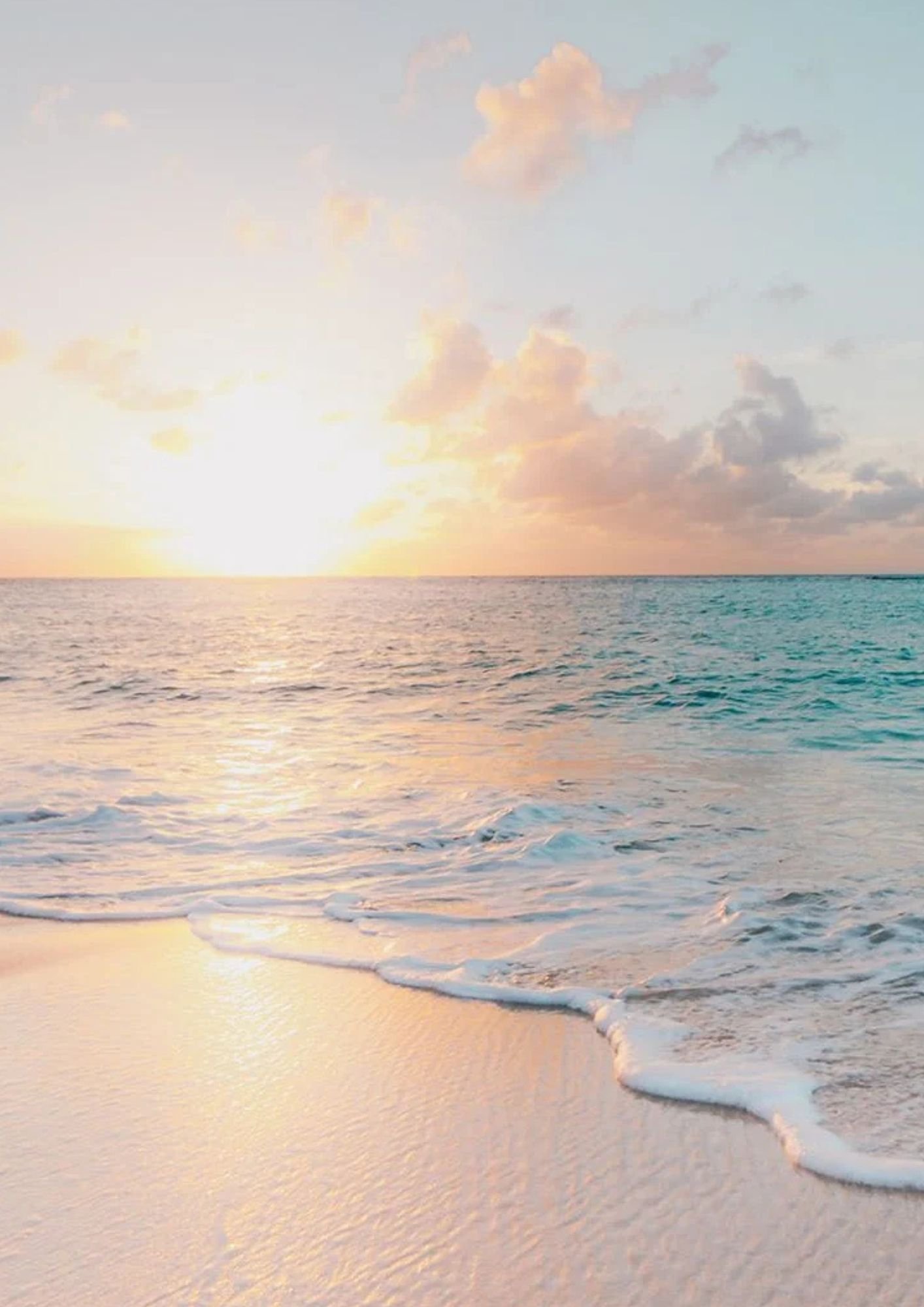 Turn Your Alaska Miles Into a Lifesaving Mission&nbsp;✈️🐾