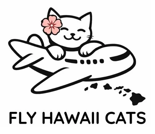 Fly Hawaii Cats