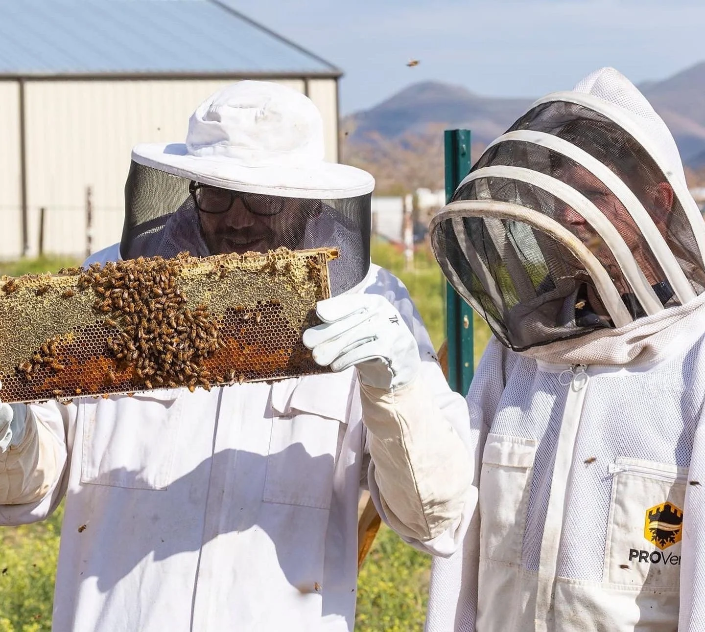 Local beekeepers harvesting honey, reflecting Strata’s commitment to regional sourcing, craftsmanship, and relationships with local producers.