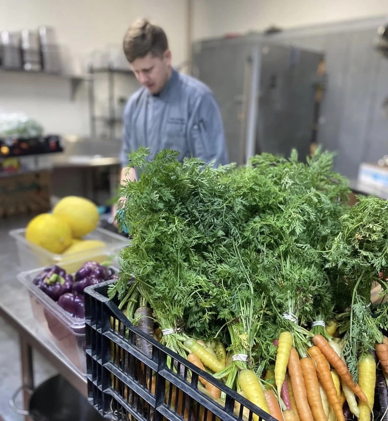 Fresh carrots and seasonal greens sourced locally for Strata’s kitchen