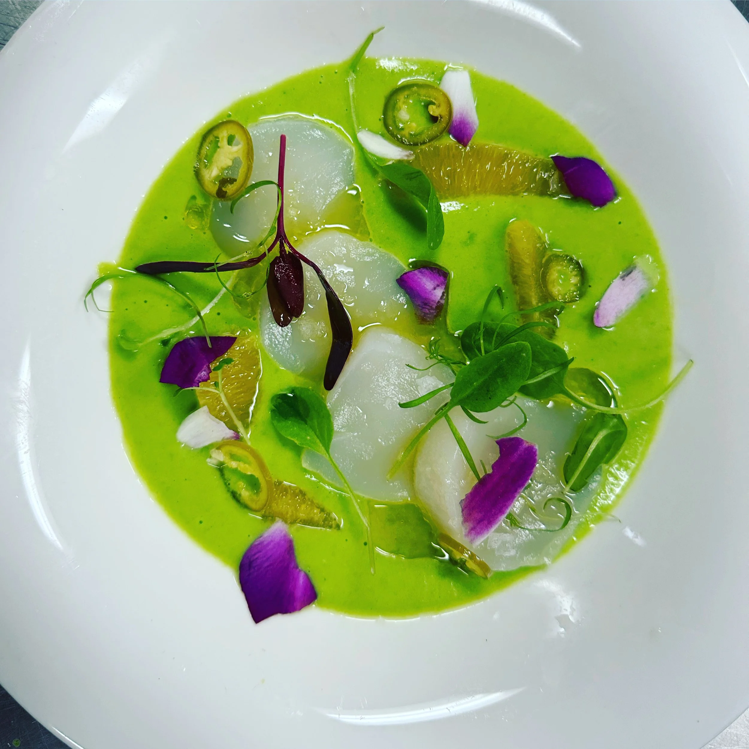 Seasonal scallop dish finished with fresh herbs and greens