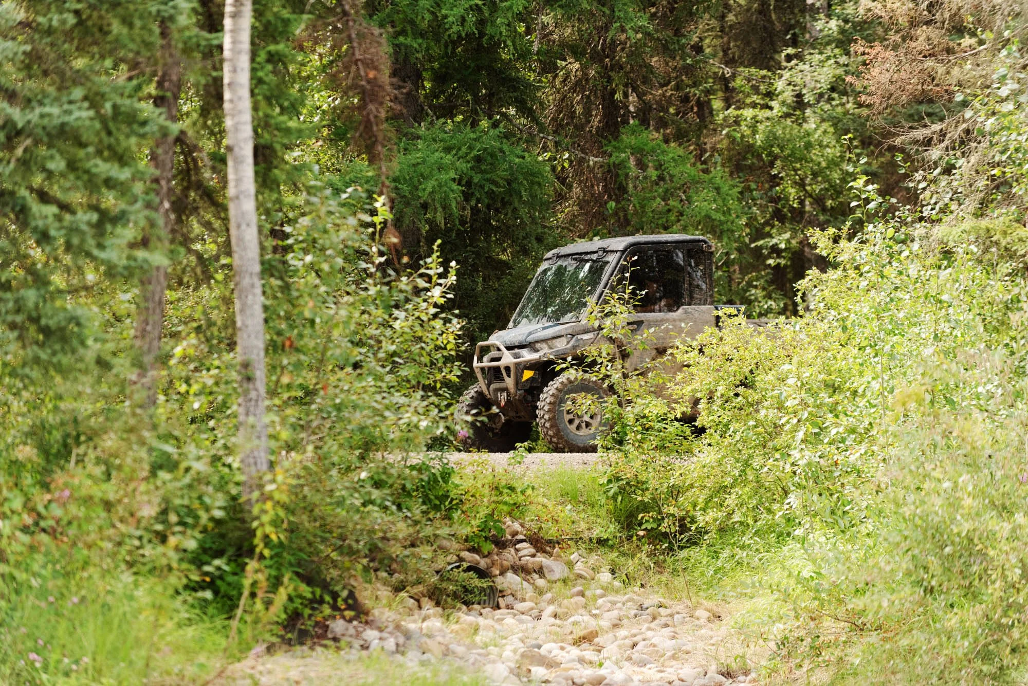 An all-terrain vehicle driving on a rocky trail surrounded by dense green forest.