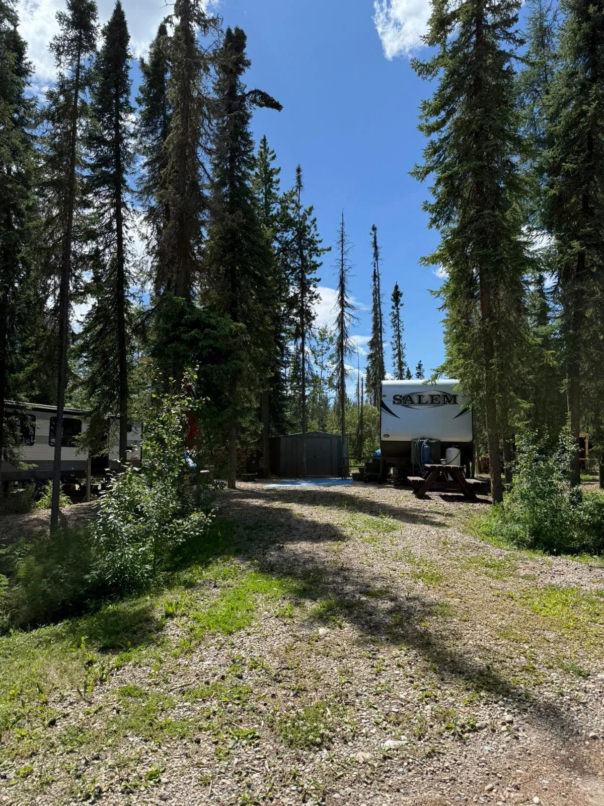 A camping scene in a forest with tall pine trees, a gravel path, an RV labeled 'Salem', a picnic table, and a small shed, under a partly cloudy sky.