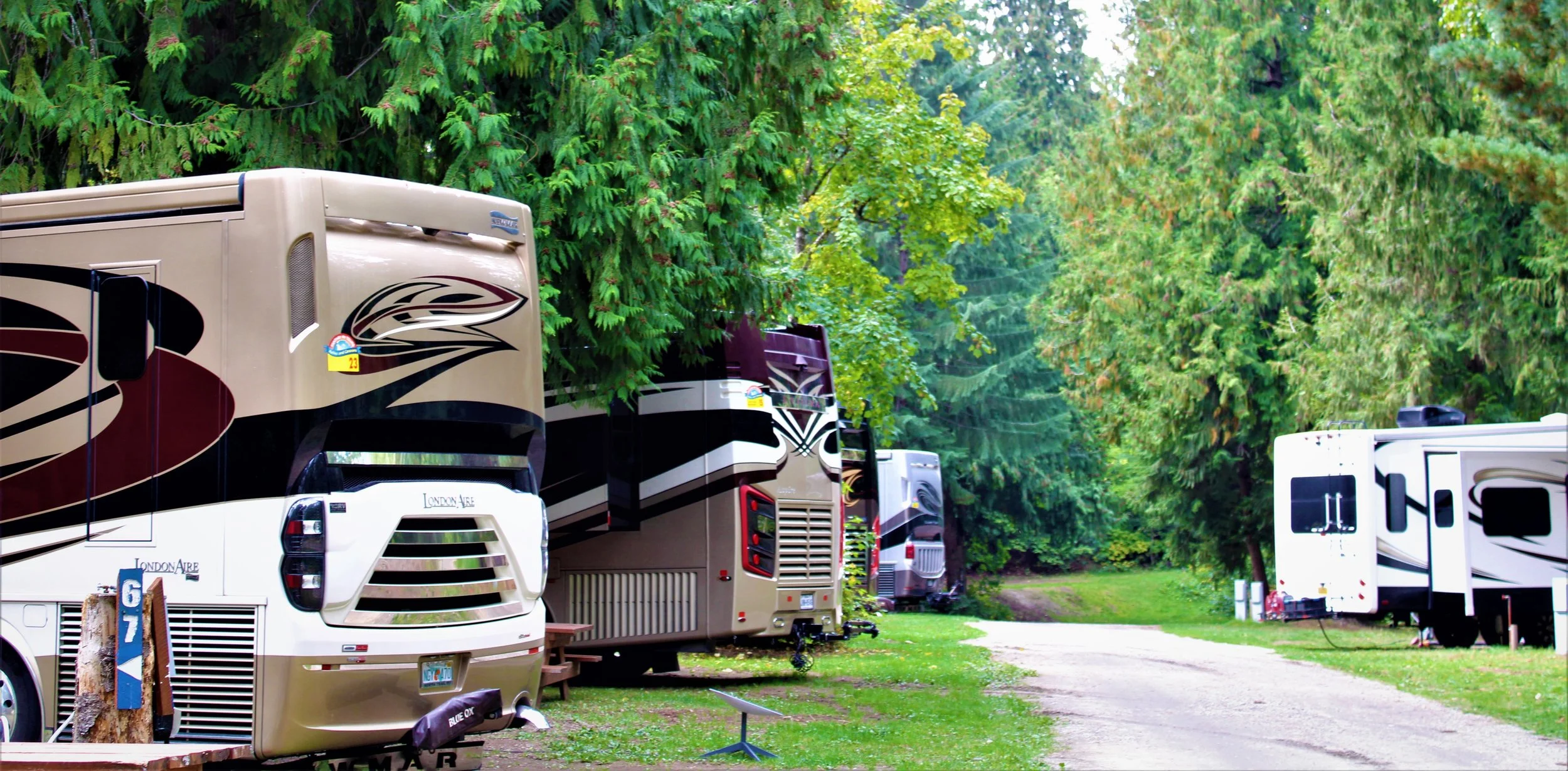 Fantasy RV group.JPG