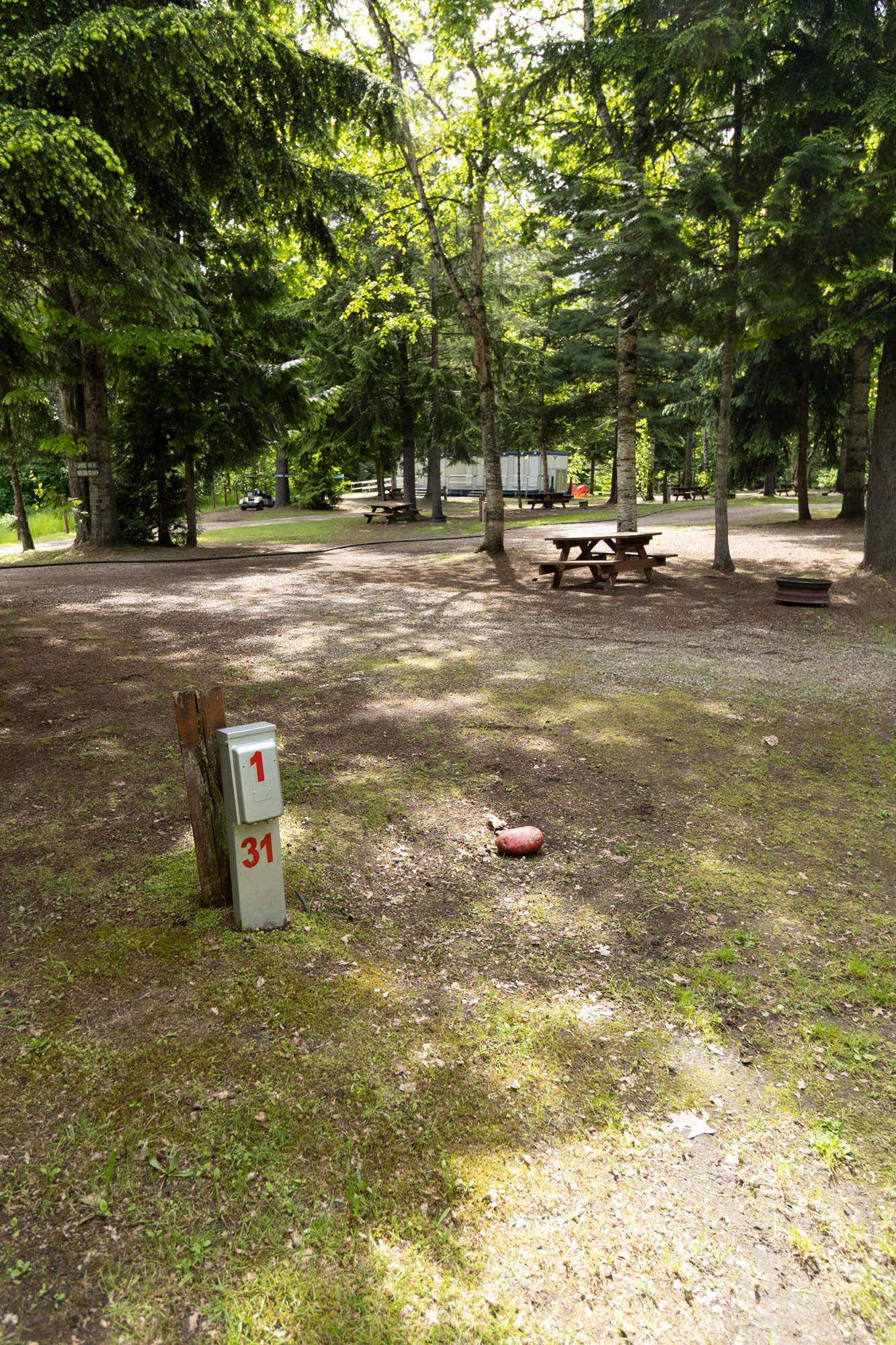 IMG_7425.jpg