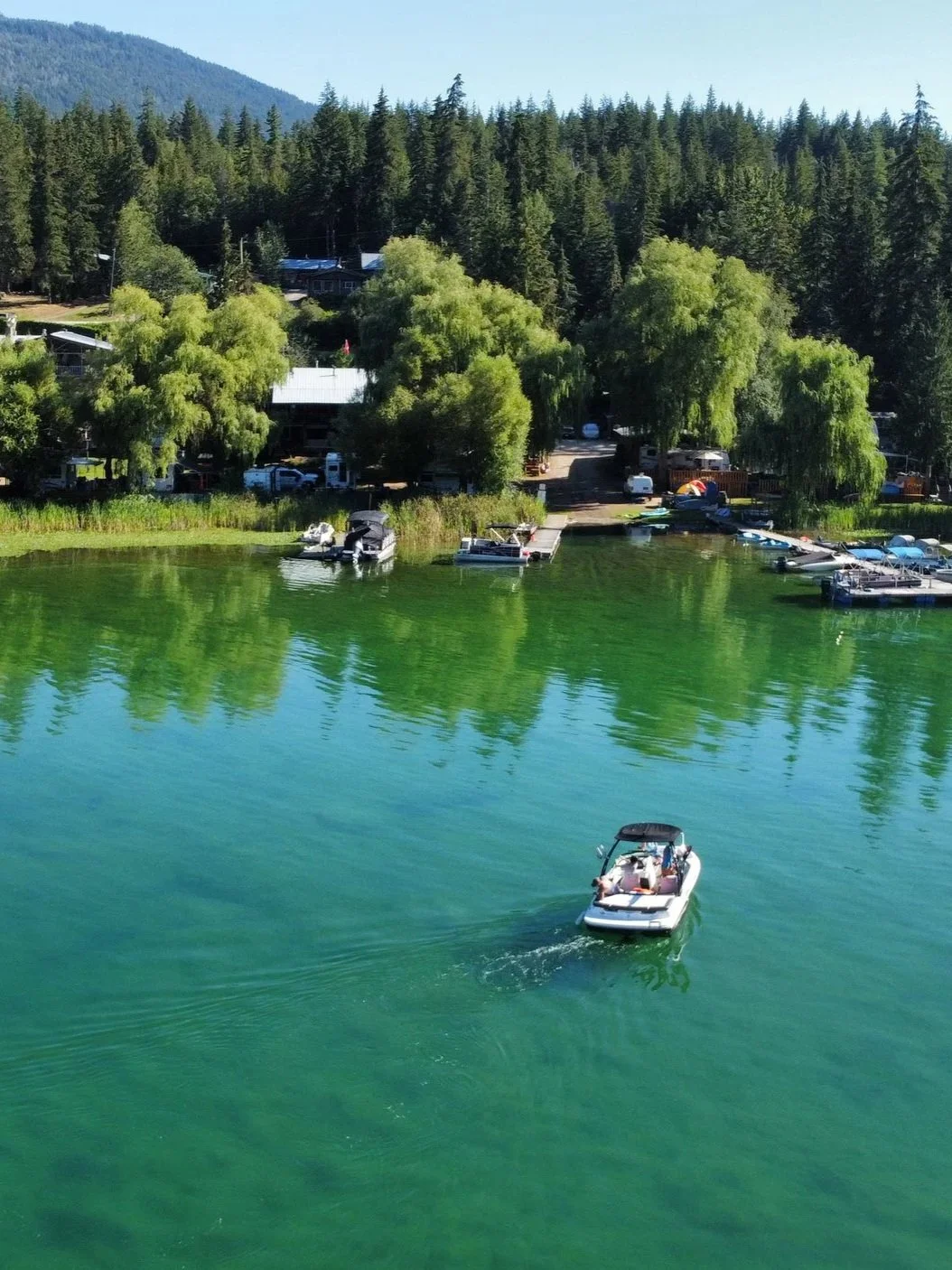 Boats on a calm green lake with trees and a small shoreline at a marina, surrounded by a forested hillside.