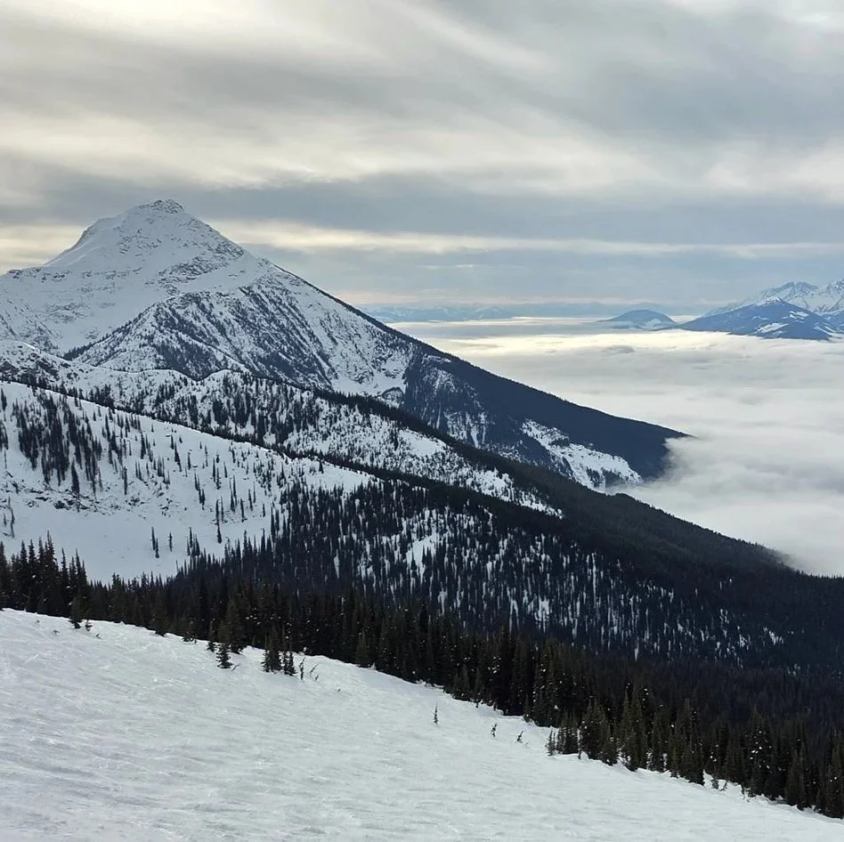 Snow-covered mountain landscape with a prominent peak, evergreen trees, and a foggy valley below under a cloudy sky.