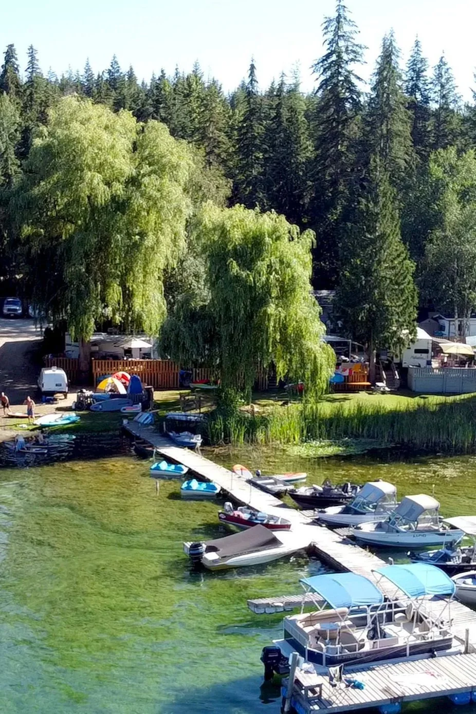 Boats docked along a pier by a lakeshore, surrounded by tall green trees and forested hills under a clear blue sky.