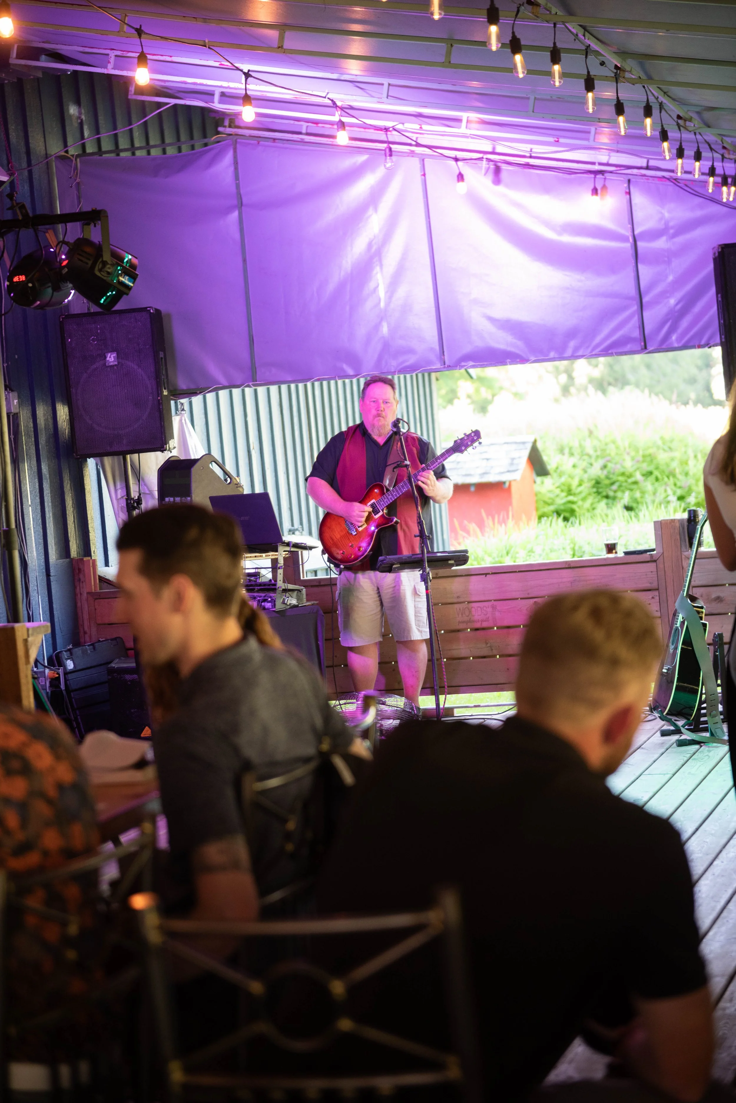 Live Rock ’n’ Roll with Jurassic Mike!