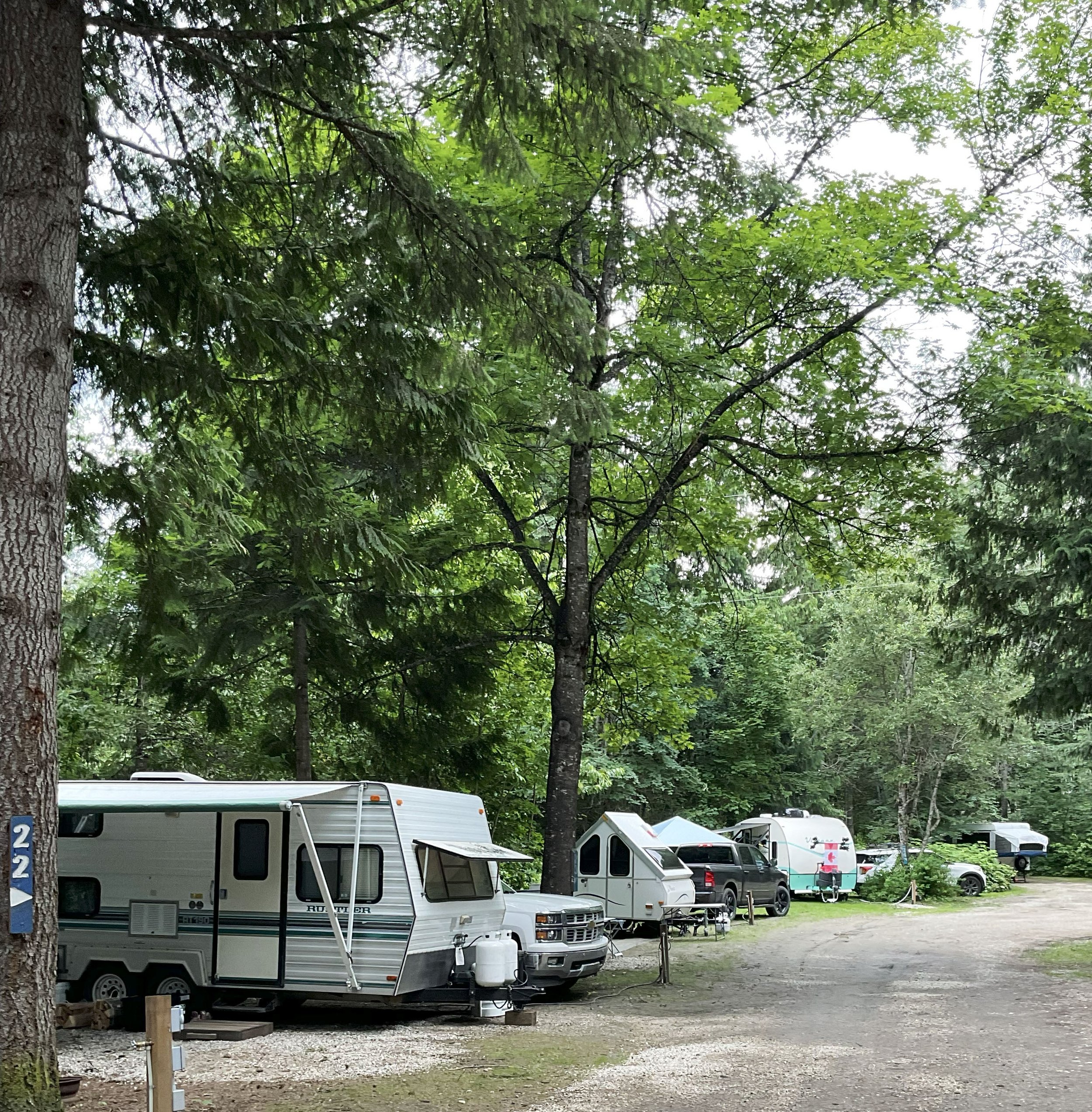 A campground with multiple RVs parked among tall trees with green leaves, and a gravel ground.