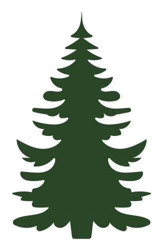 Silhouette of a pine tree