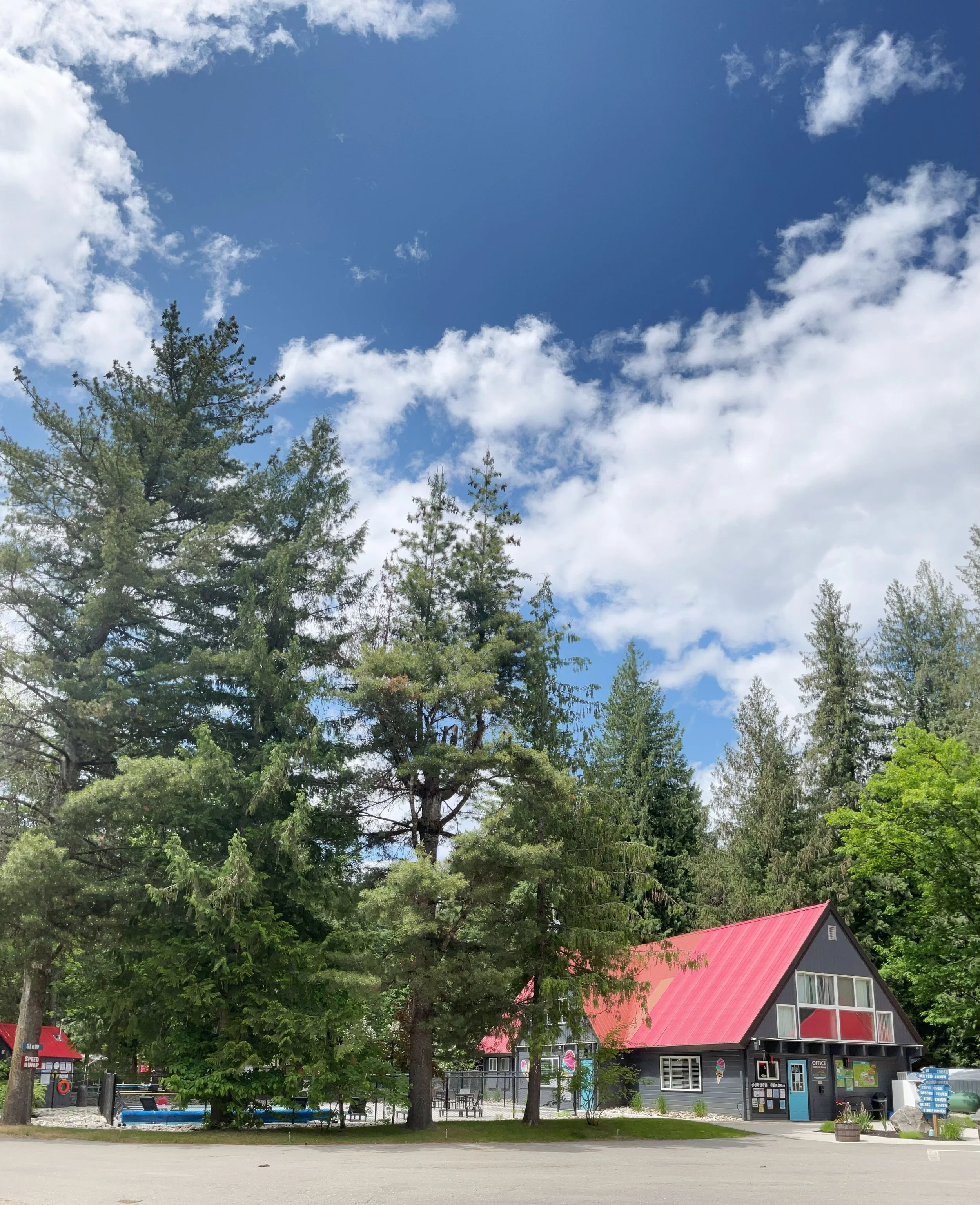 A building with a red roof, surrounded by tall trees, on a sunny day with a blue sky and some white clouds.