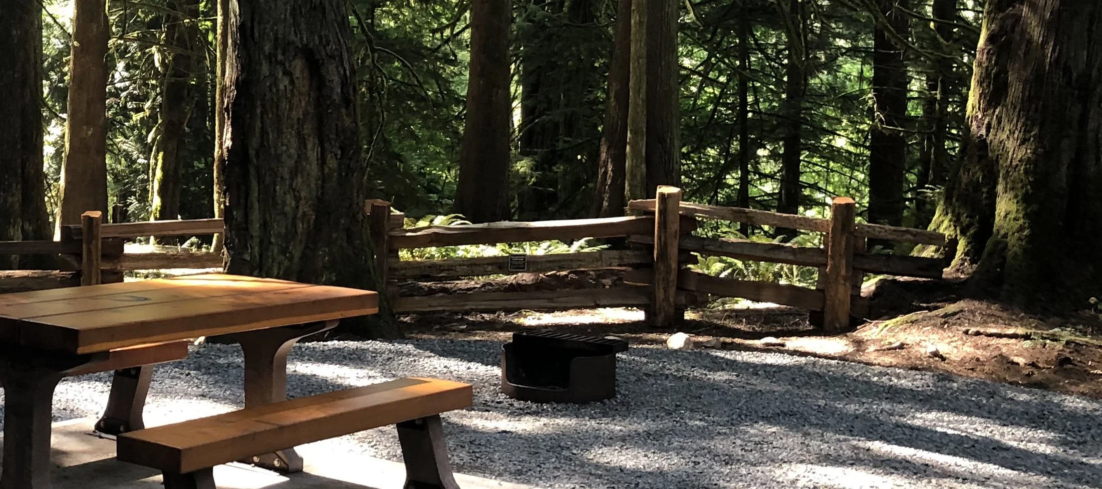 campsite_2200px_firepit.jpg