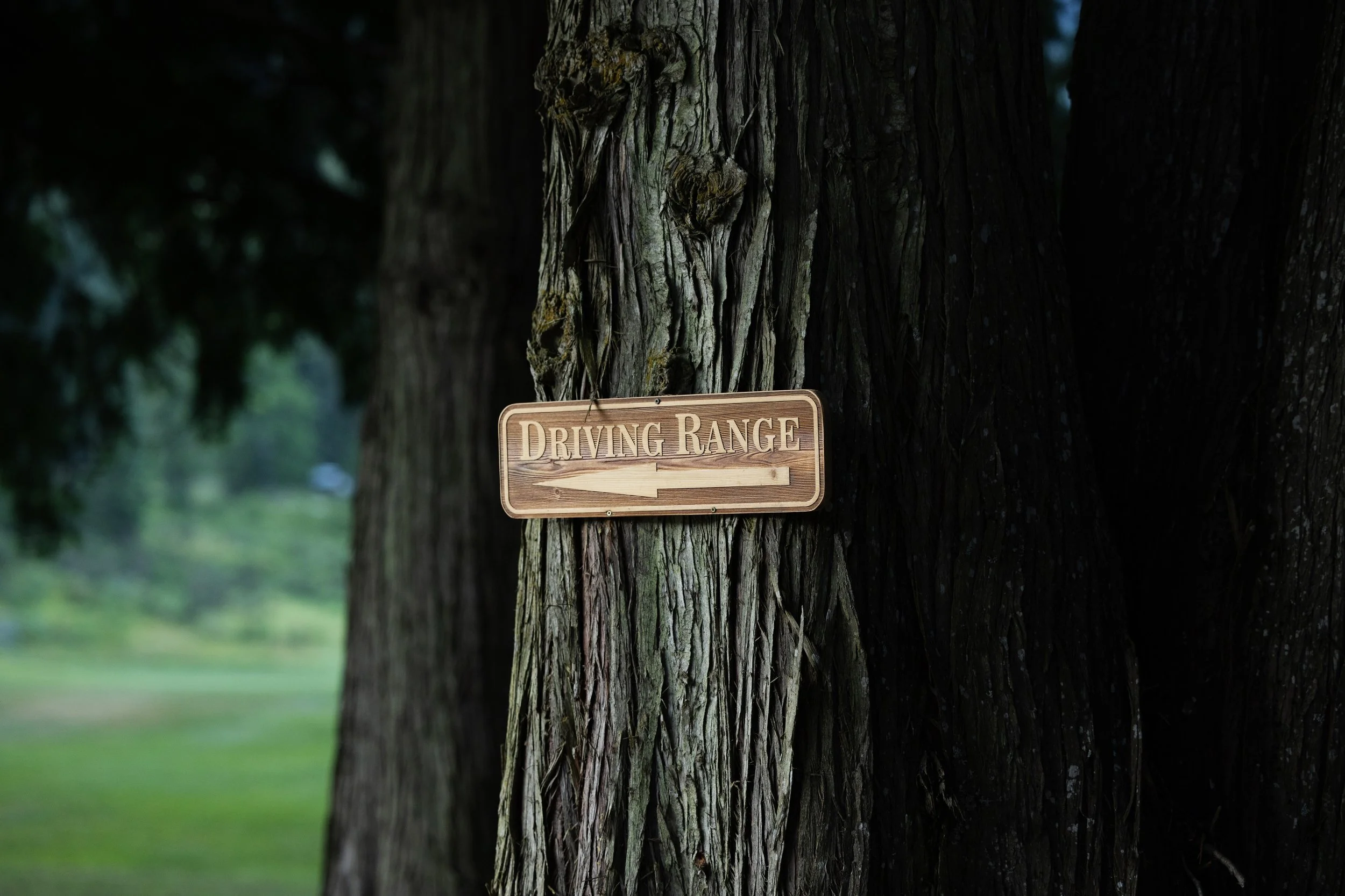 A wooden sign attached to a tree trunk with the words 'Driving Range' and an arrow pointing to the left.