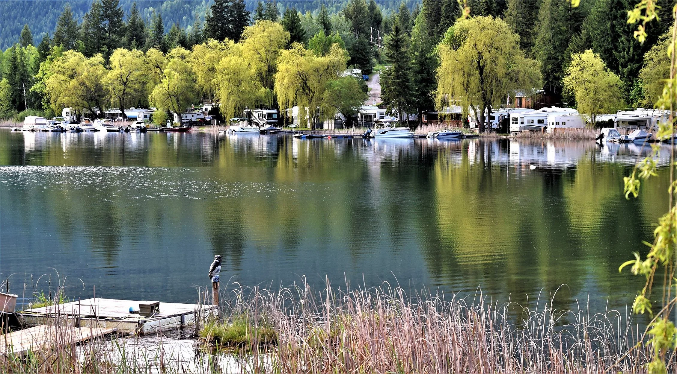 White-lake-sunny-shore-waterfront.jpg