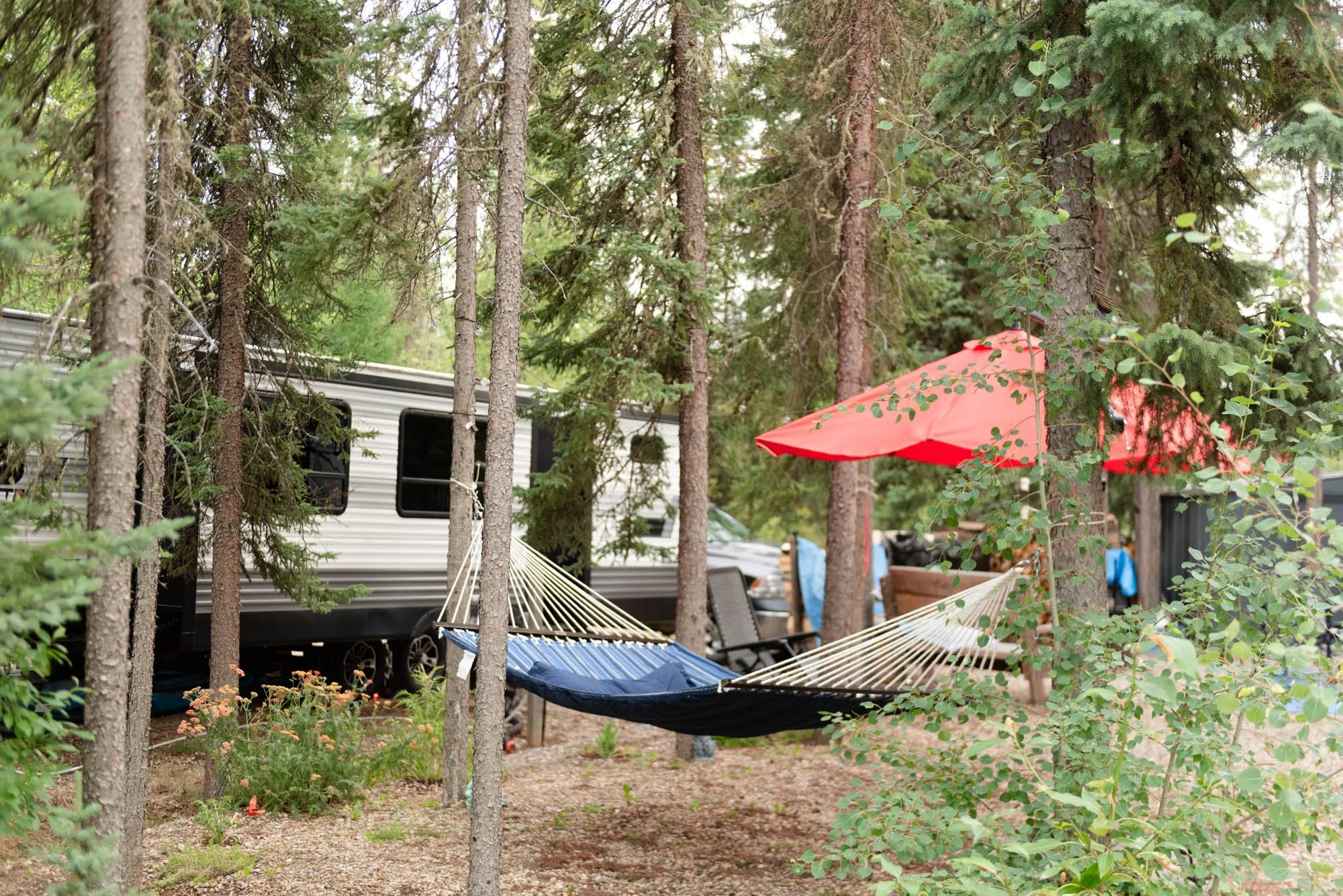 A wooded outdoor area with tall pine trees, colorful umbrellas, hammocks, and camping chairs, suggesting a campsite or backyard relaxation spot.