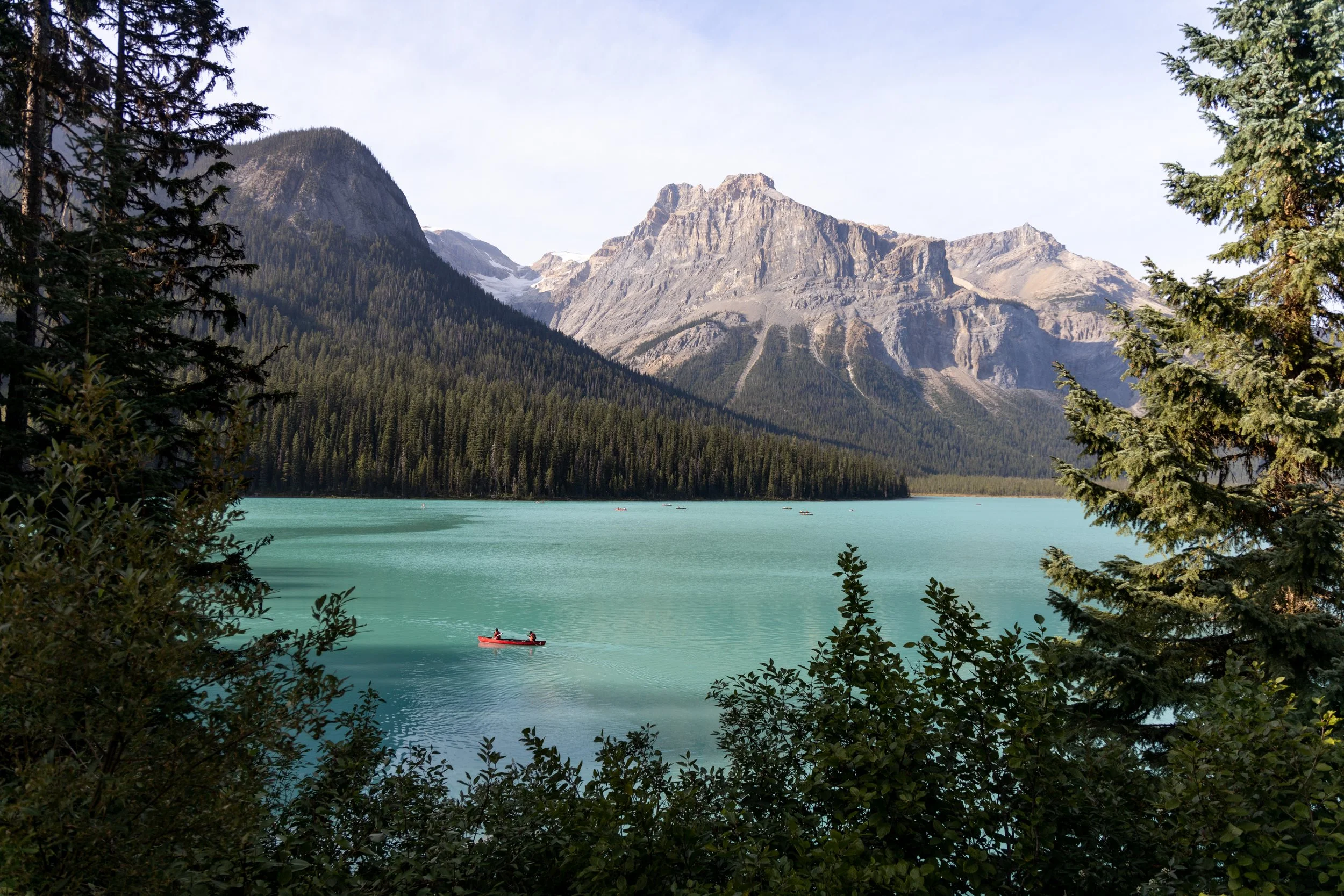 A scenic mountain landscape with a turquoise lake, pine trees at the foreground, and a mountain range in the background. A person kayaking on the lake.