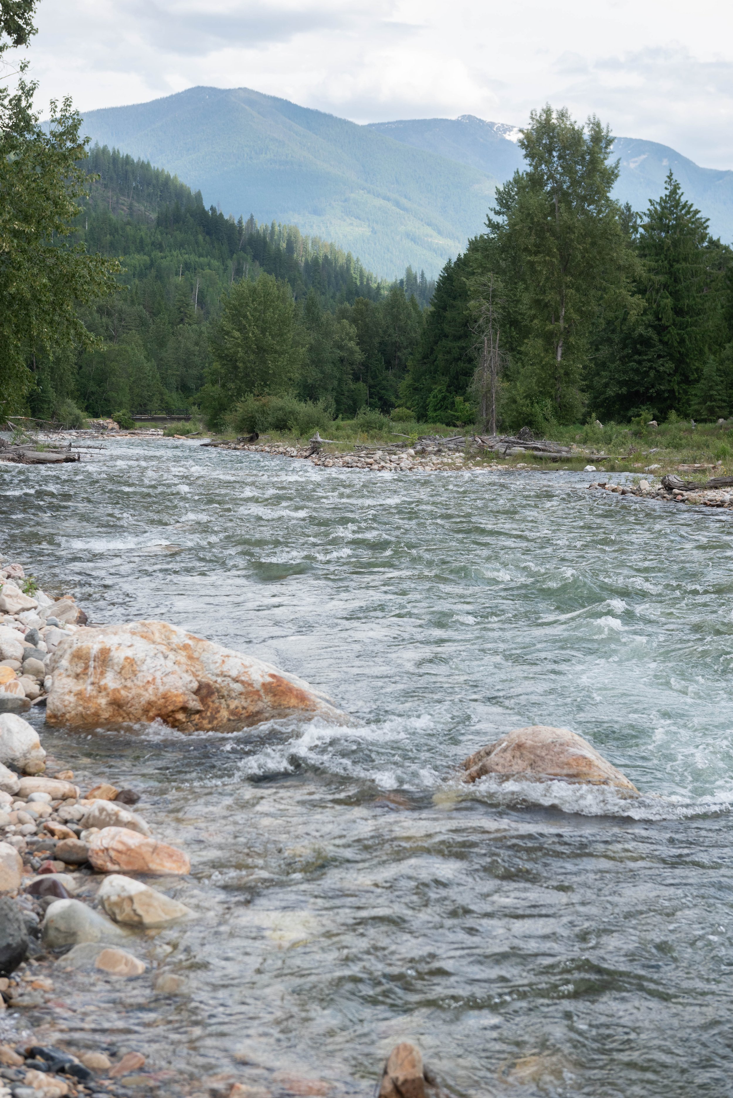A mountain river flowing over rocks and pebbles with a dense forest and mountain range in the background.
