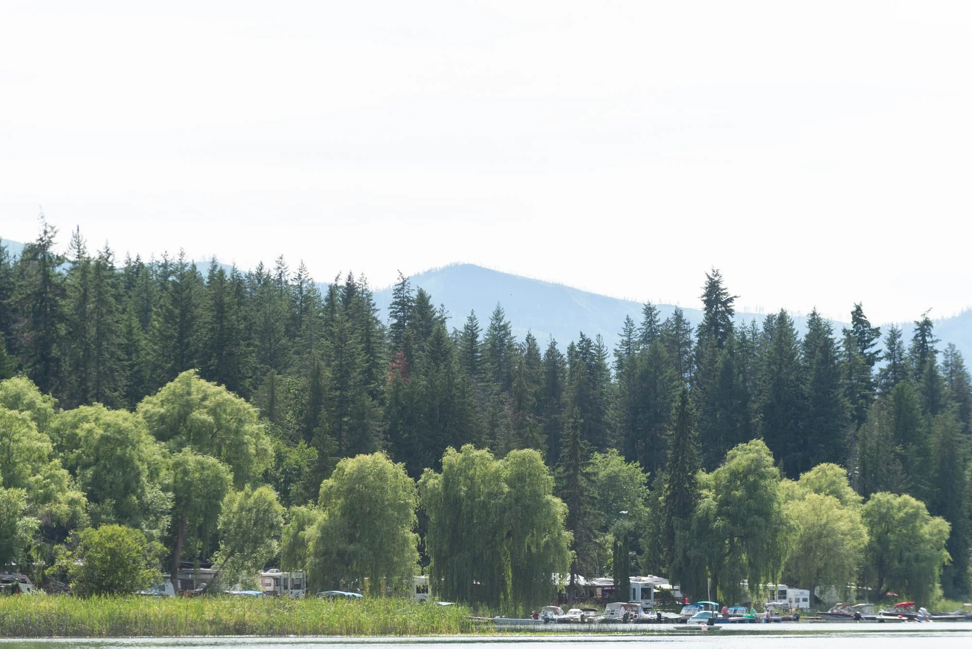 A scenic view of a forested area with mountains in the background and a body of water in the foreground, with several recreational vehicles parked along the shoreline.