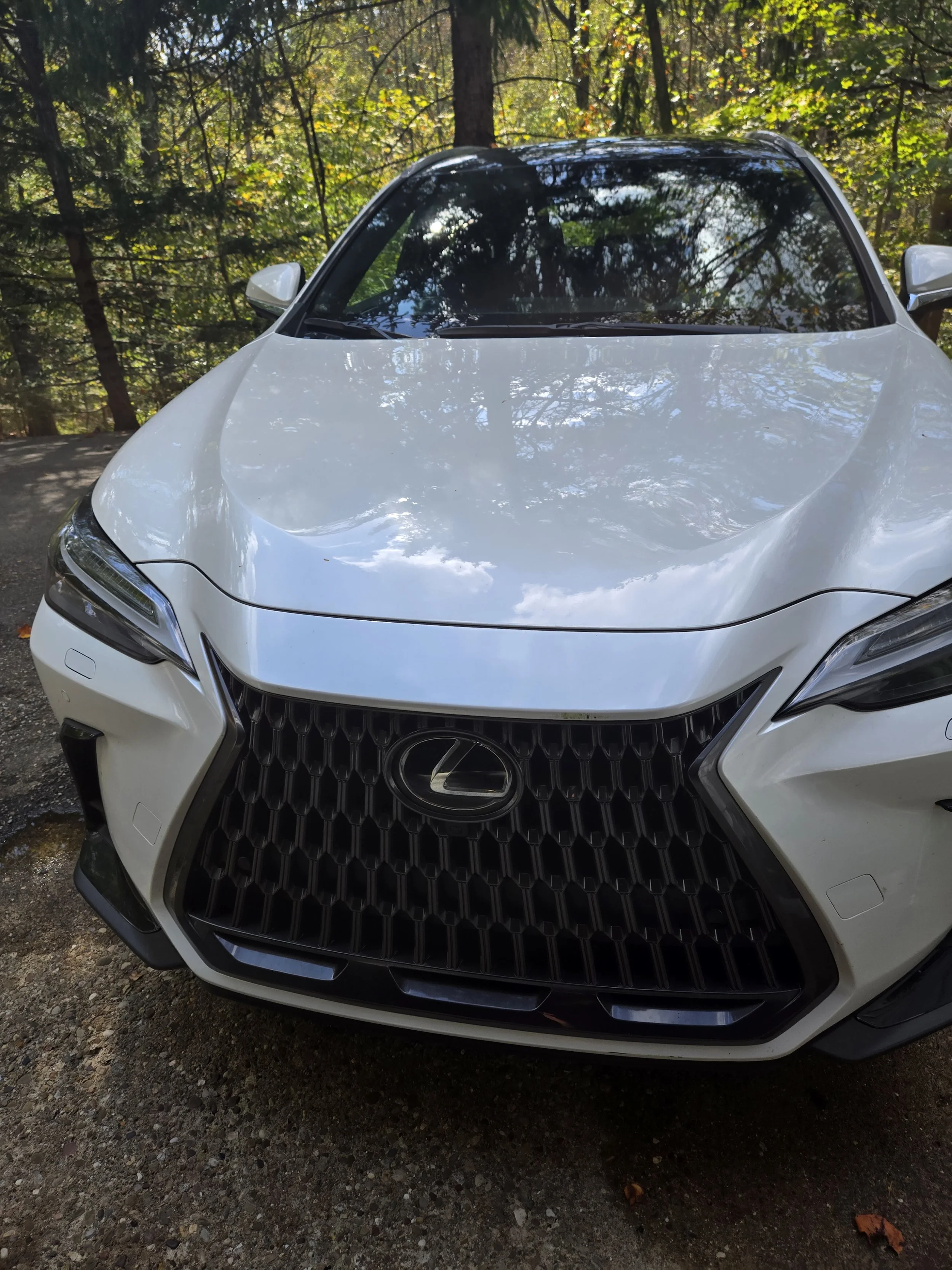 Front view of a white Lexus car parked in a wooded area with trees reflected on the windshield.