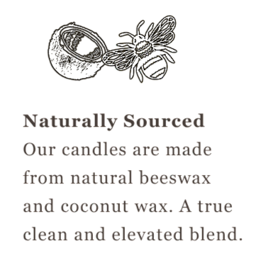 Bee on a flower next to a candle with text about natural, beeswax, and coconut wax candles.