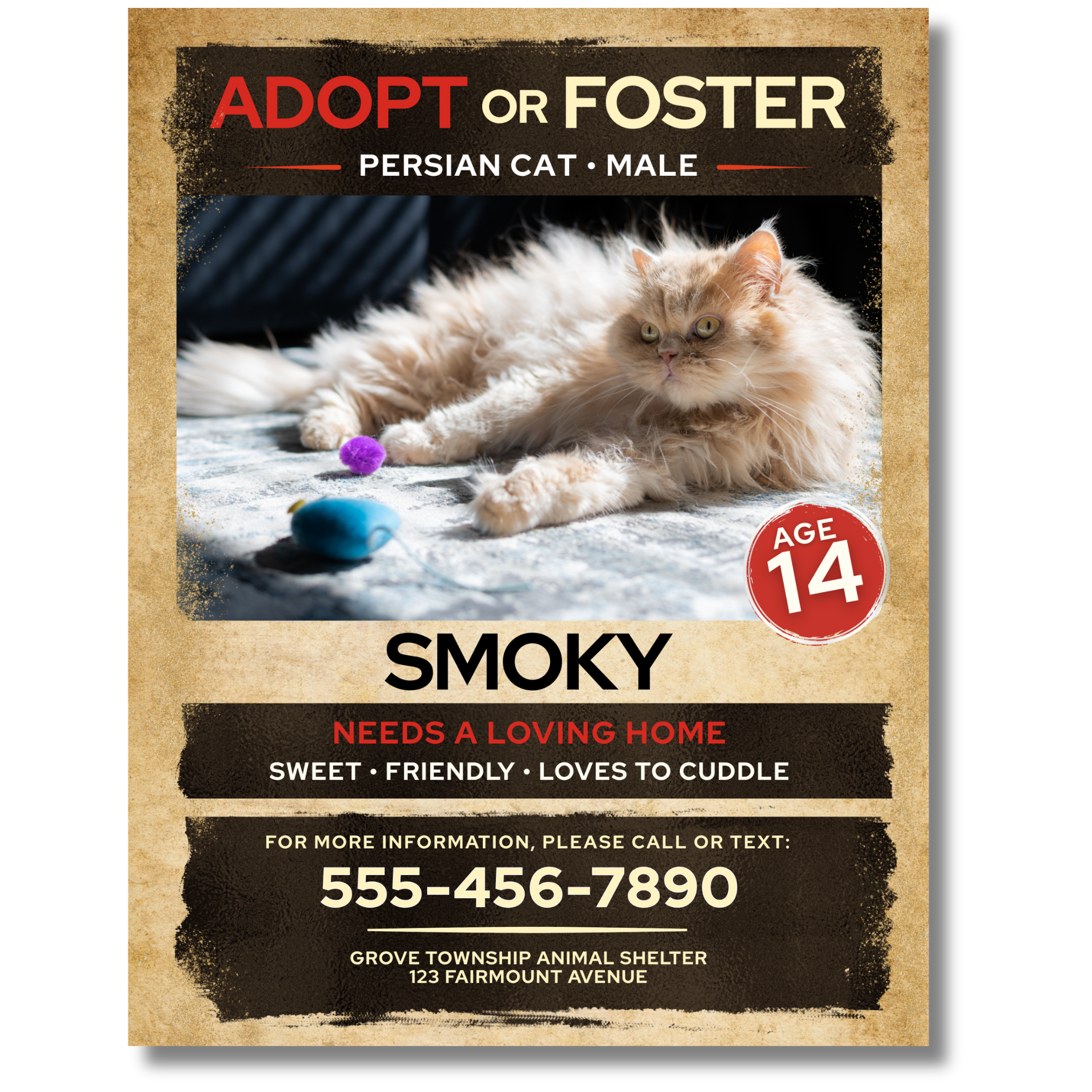 Adopt / Foster Poster