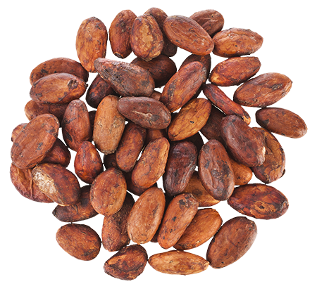 Premium African Cocoa Beans