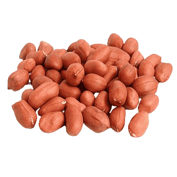 Premium Raw African Groundnut