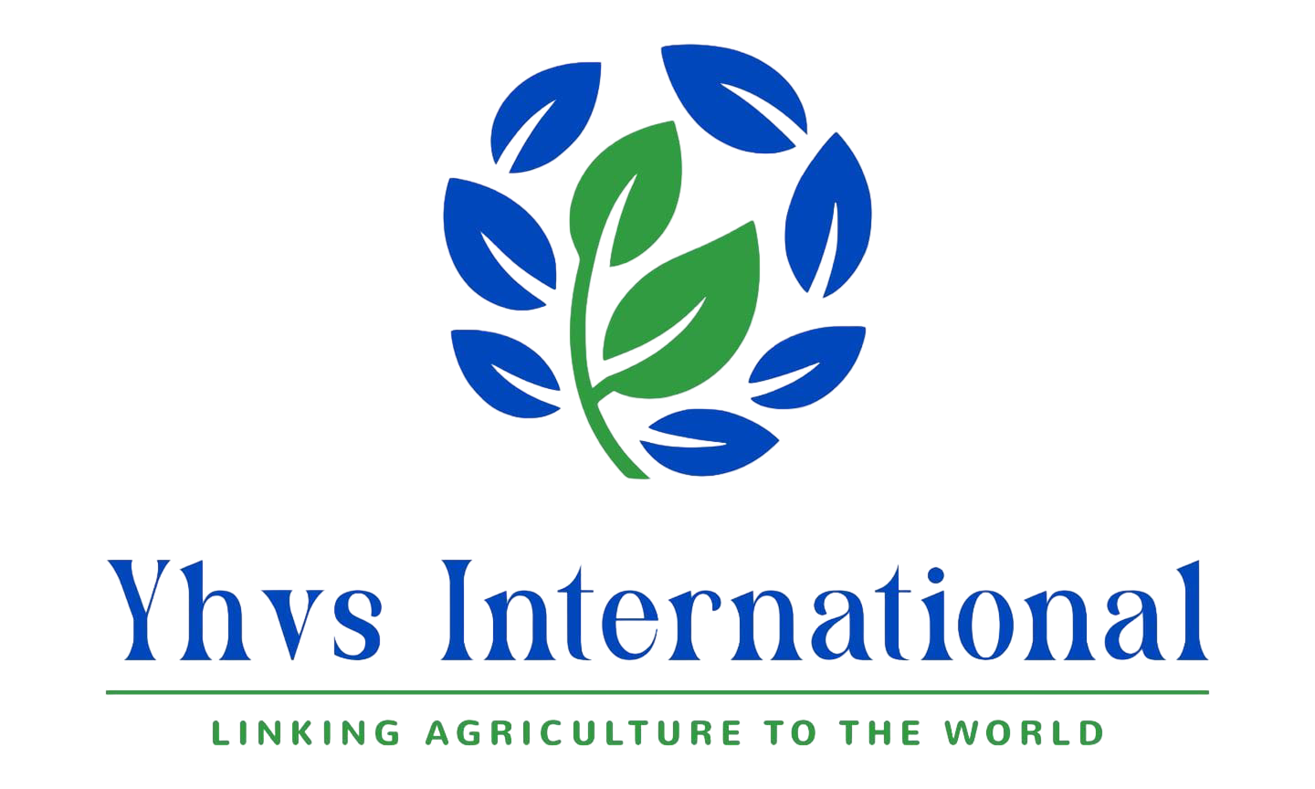 YHVS INTERNATIONAL LIMITED 