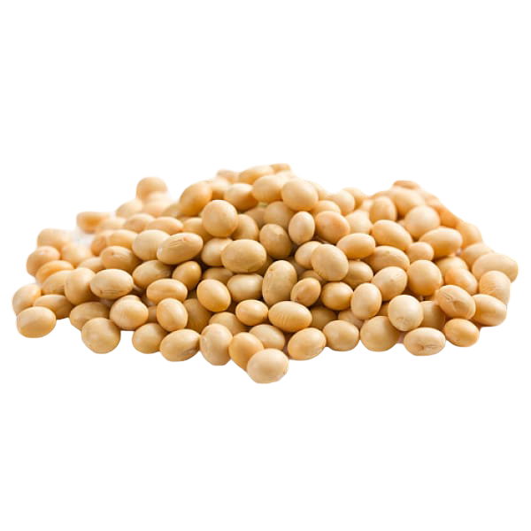 Premium Whole Soybeans