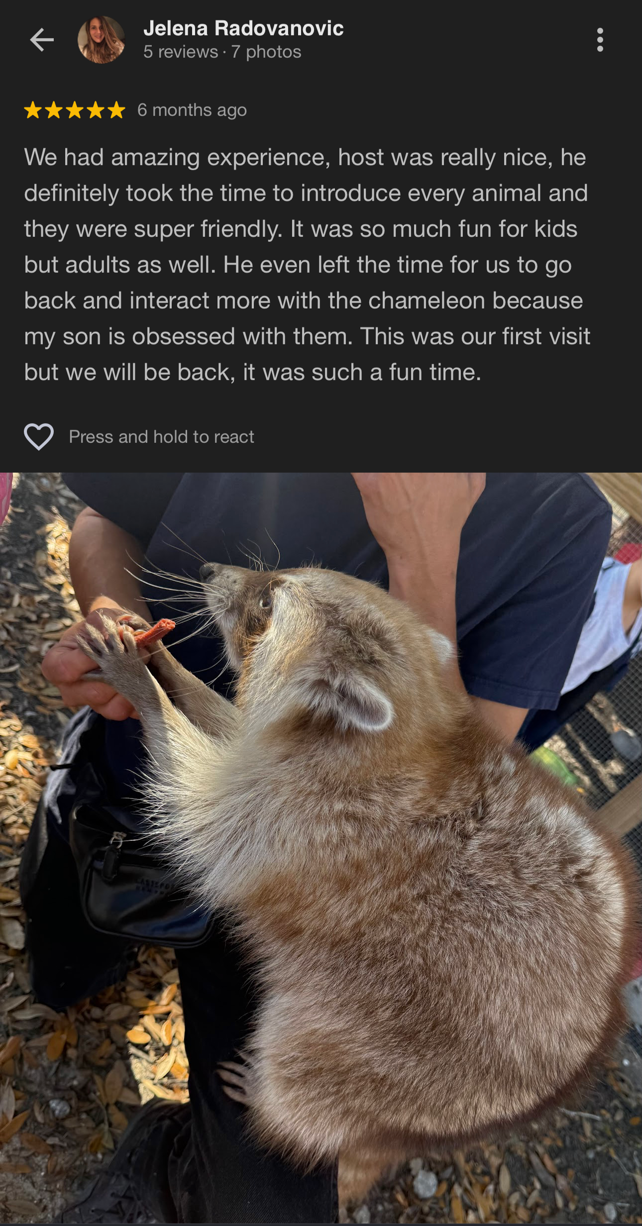 IMG_2716.png
