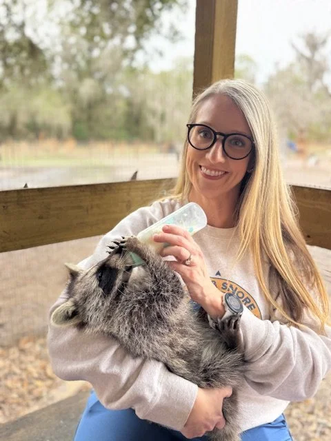 HAnds on interaction bottle feeding a baby raccoon
