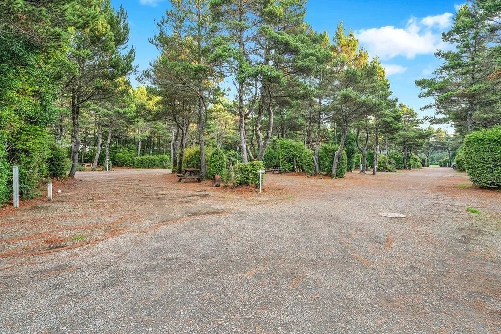 A gravel parking lot in a wooded area with trees and bushes, picnic tables, and some signposts.