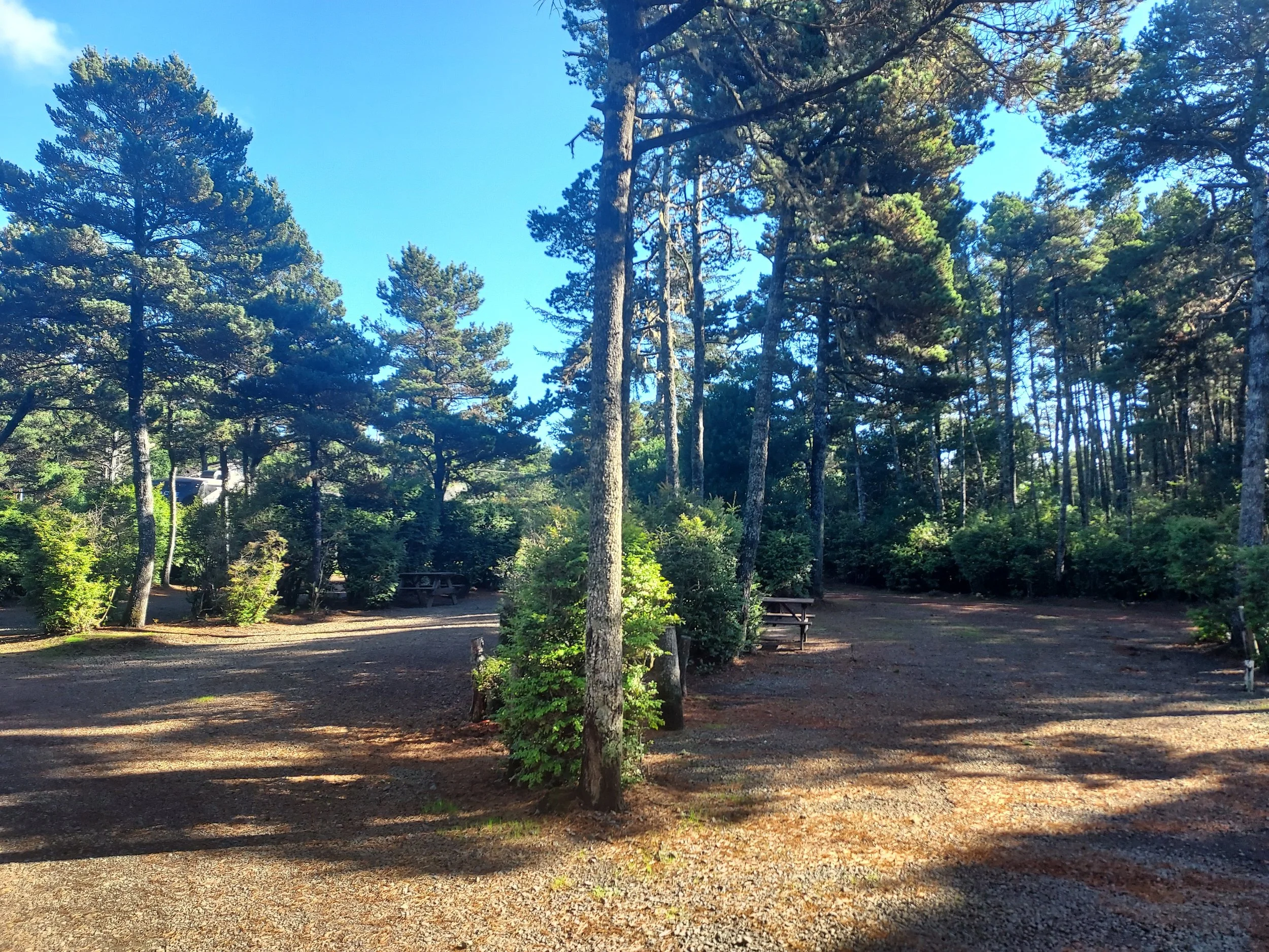 Pull-through RV site at Heceta Beach RV Park Florence Oregon