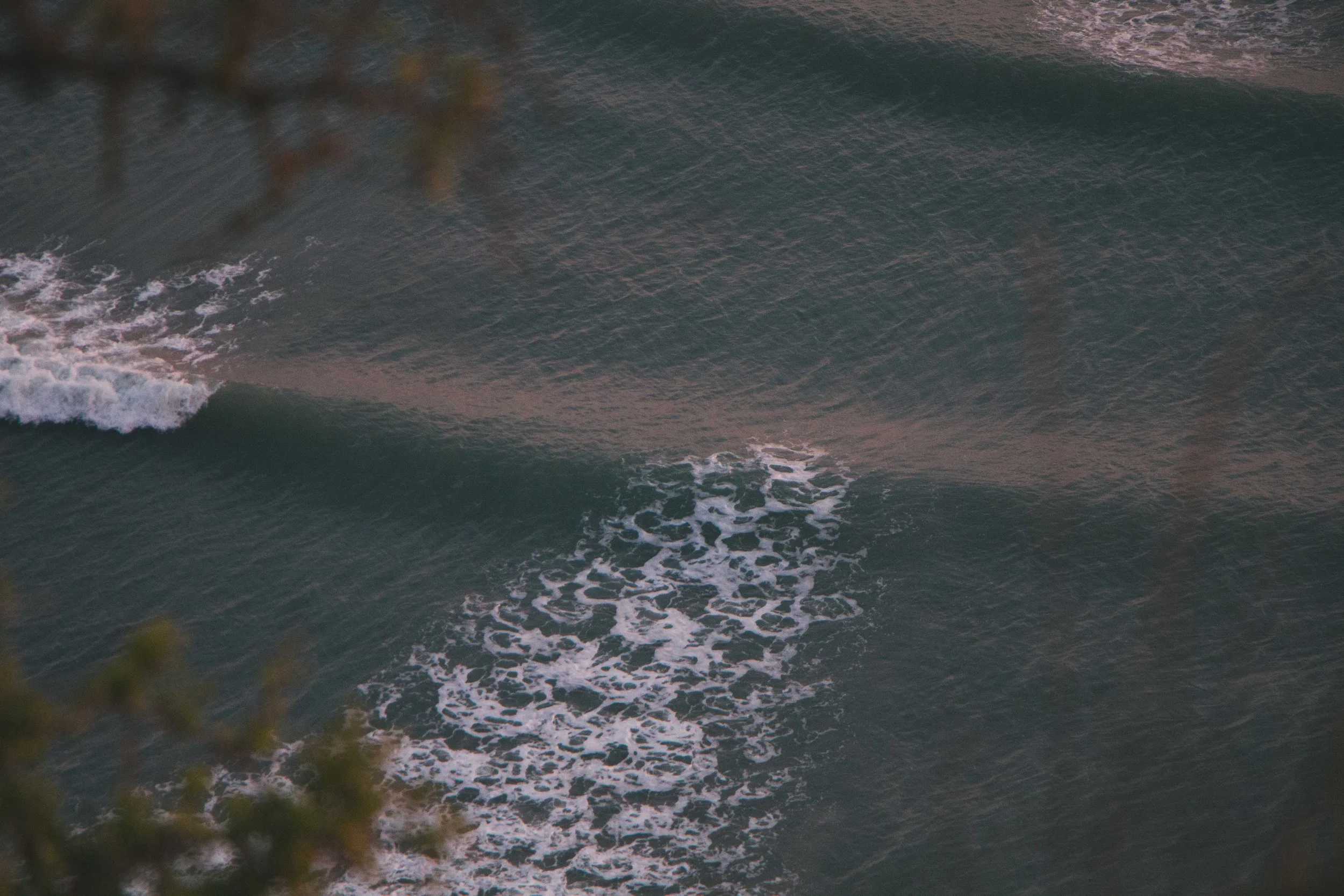 Aerial view of ocean waves with some blurred tree branches in the foreground.