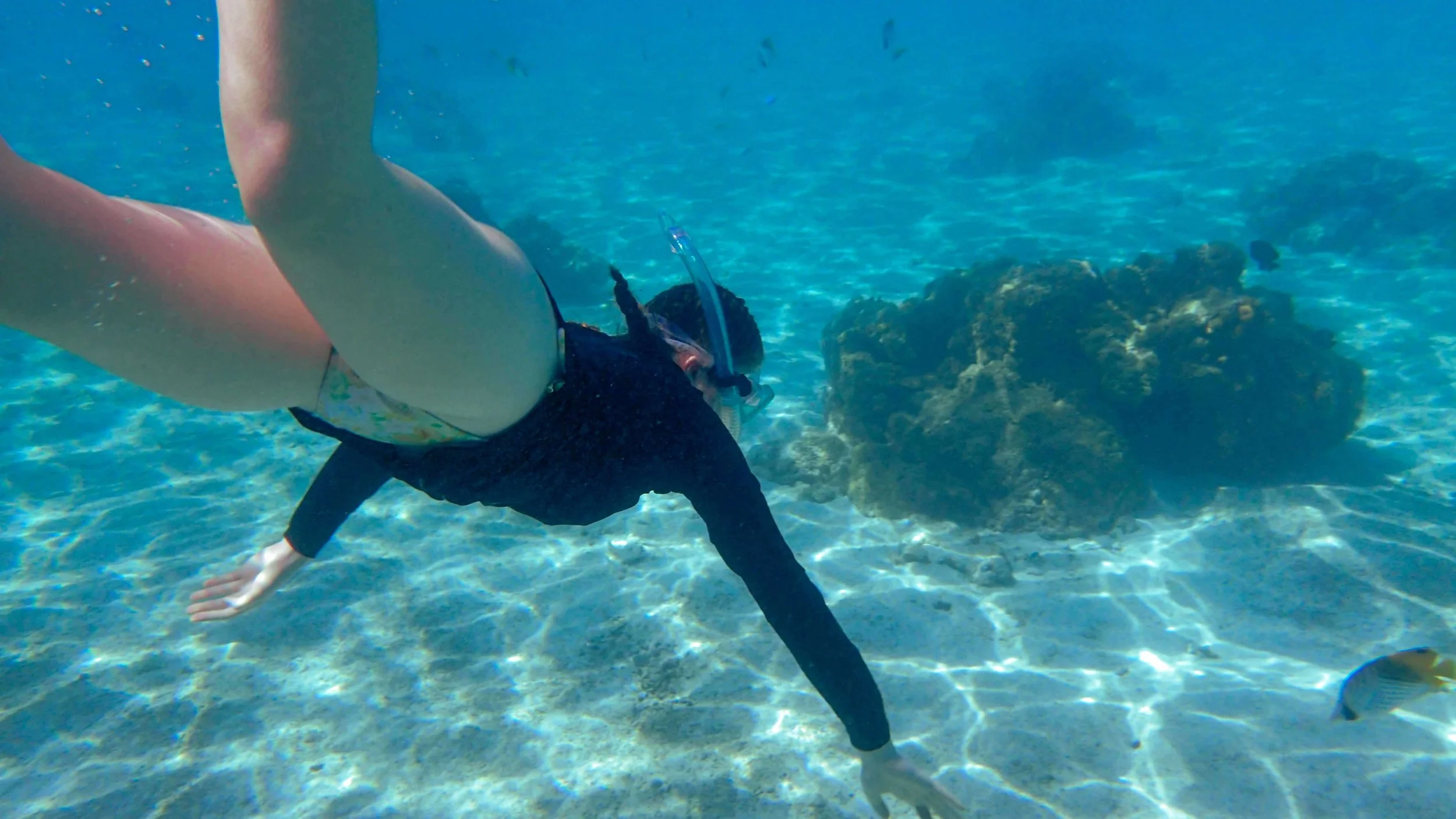 Person diving underwater with a snorkel, wearing a black top and floral shorts, near a coral reef and a small fish.