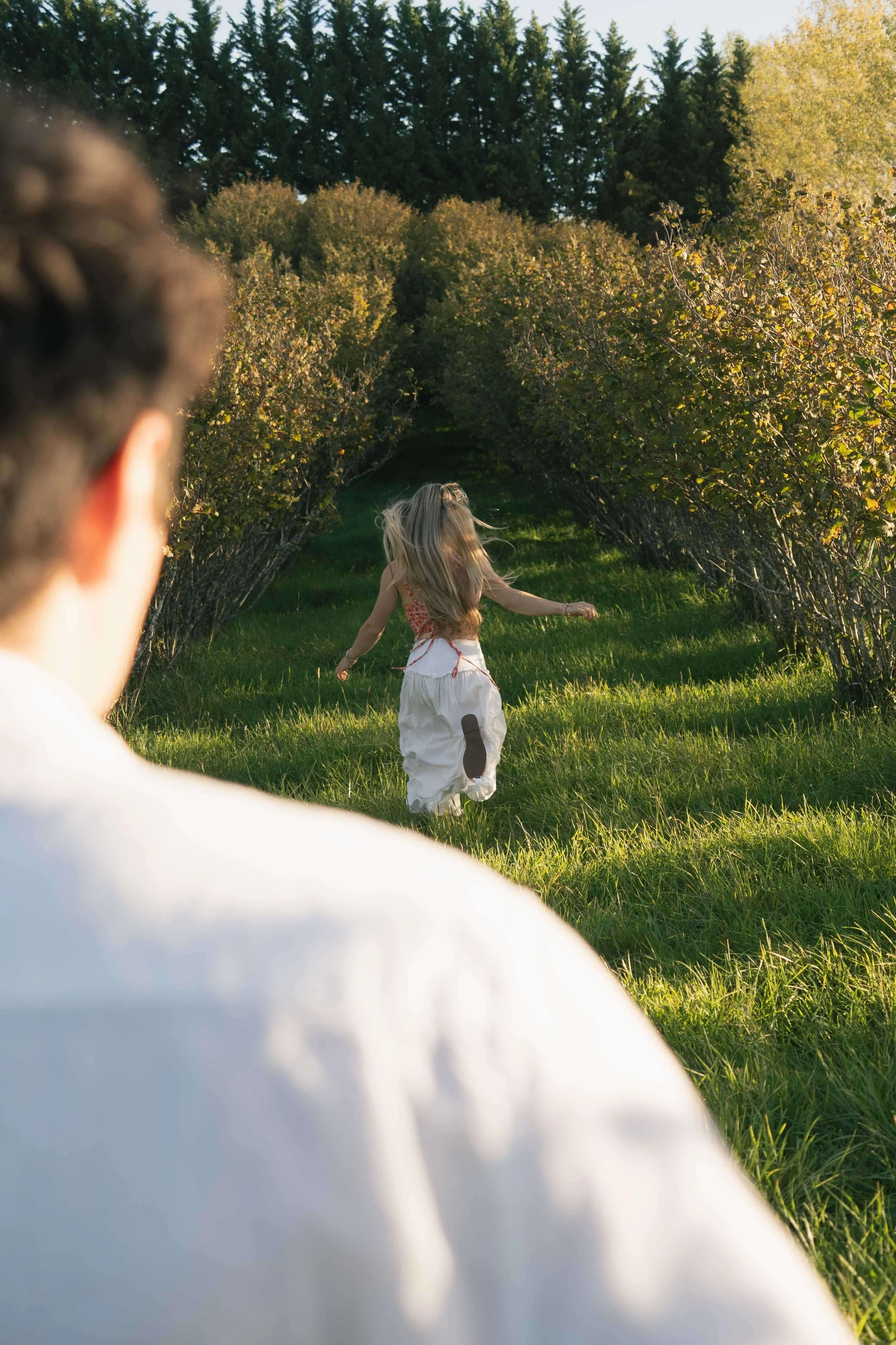 A person in the foreground looking towards a girl running through a lush green orchard on a sunny day.