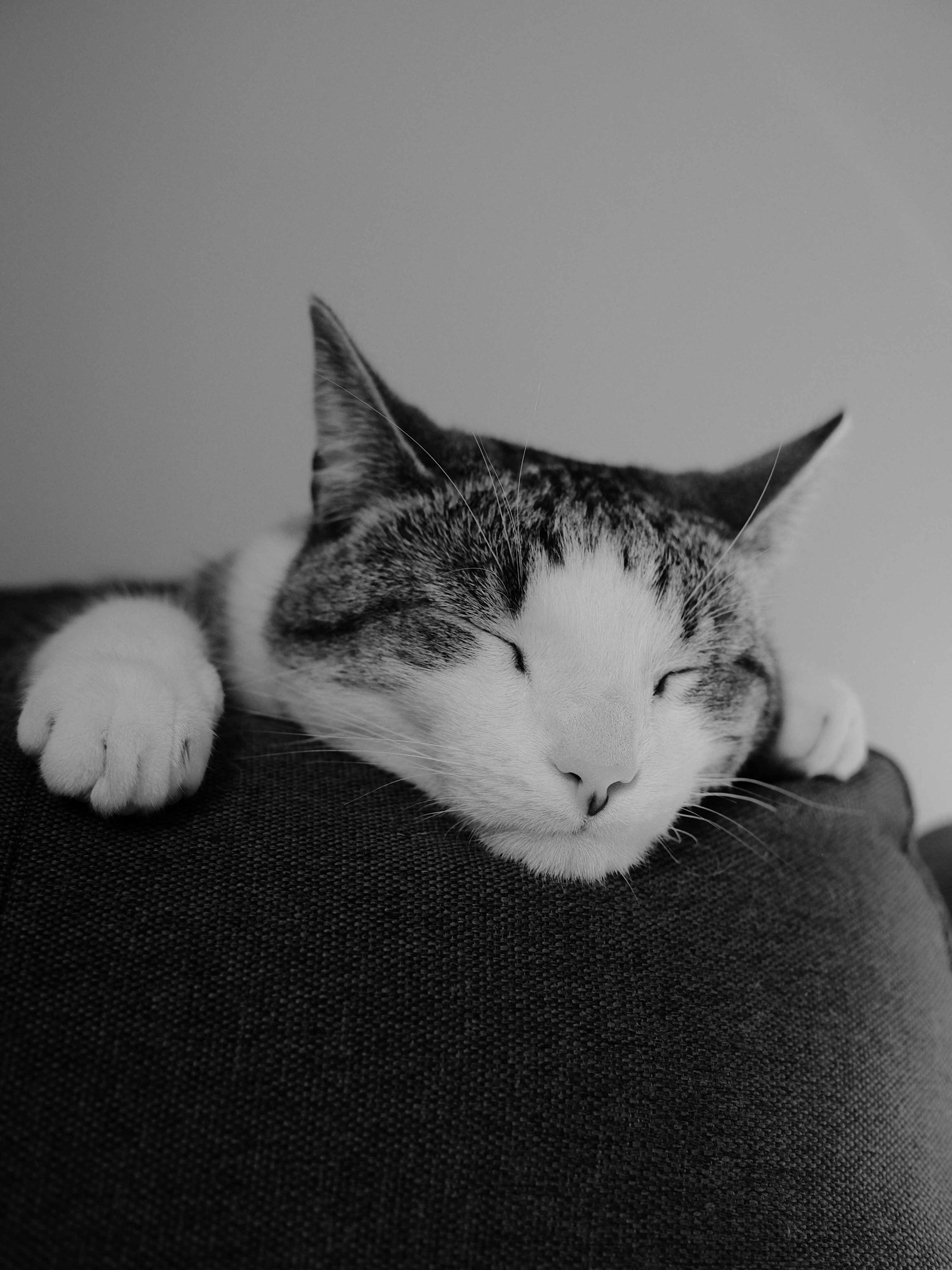 Compress.jpg