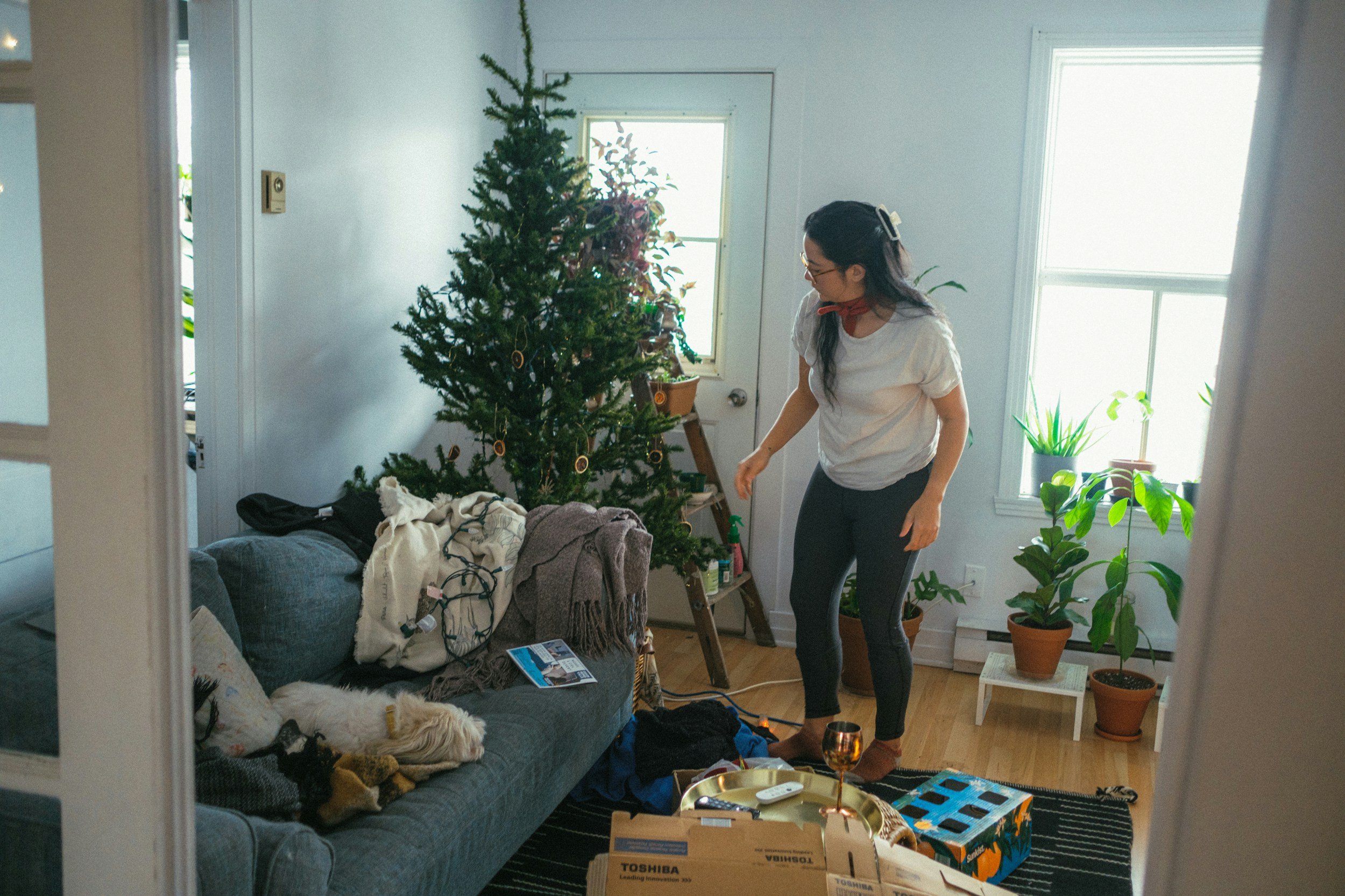 A woman decorating a Christmas tree in a living room with plants on the window sills and a couch with clothes and a dog lying on it.