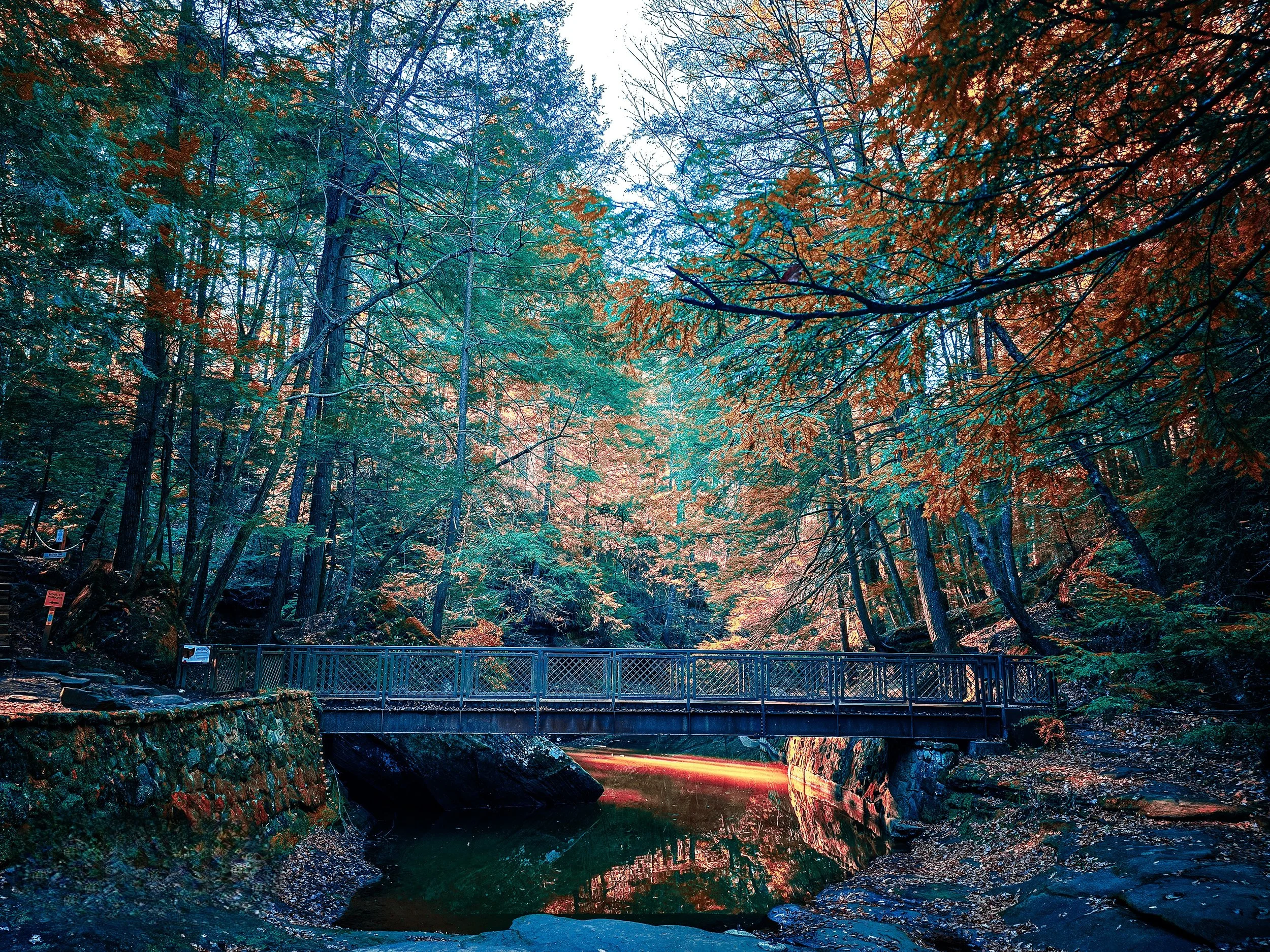 Fall in Ohio - Shale Hollow