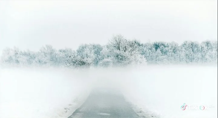 Snow Globe