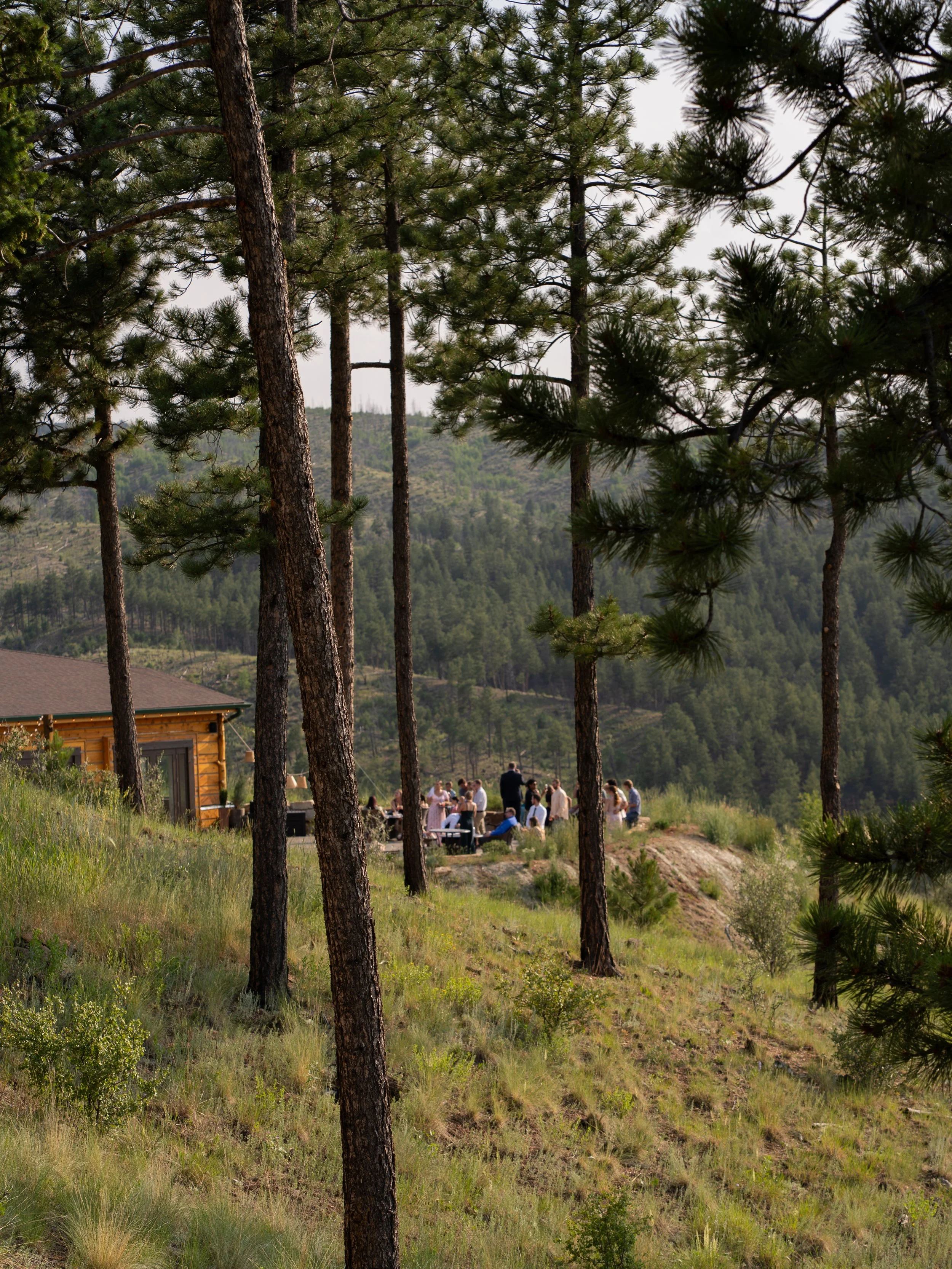 A scenic view of the venue in Woodland Park, Colorado, highlighting the natural beauty and elevated setting.