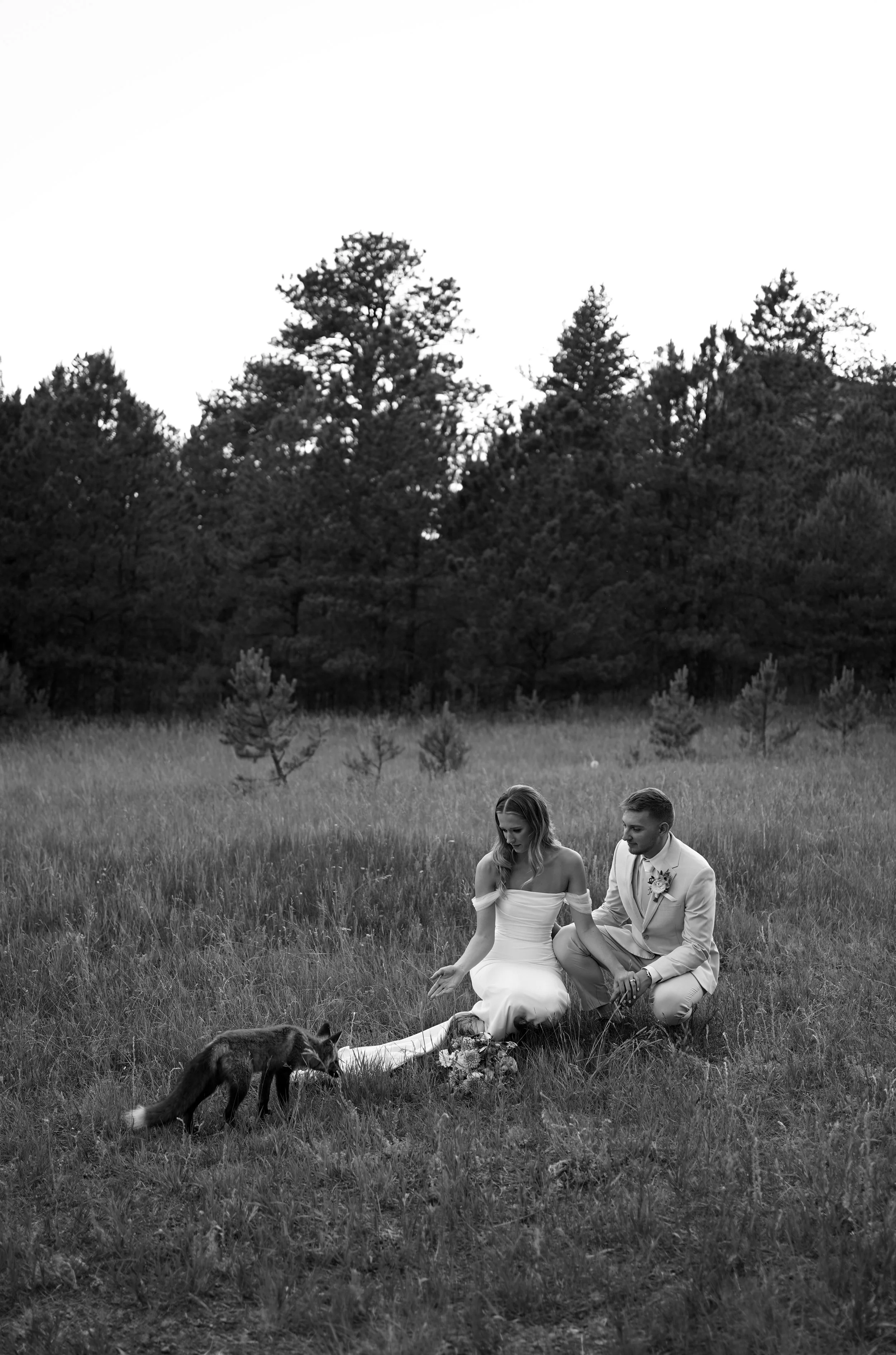 Beautifully candid moment of bride and Groom in a field with a curious fox coming up to them