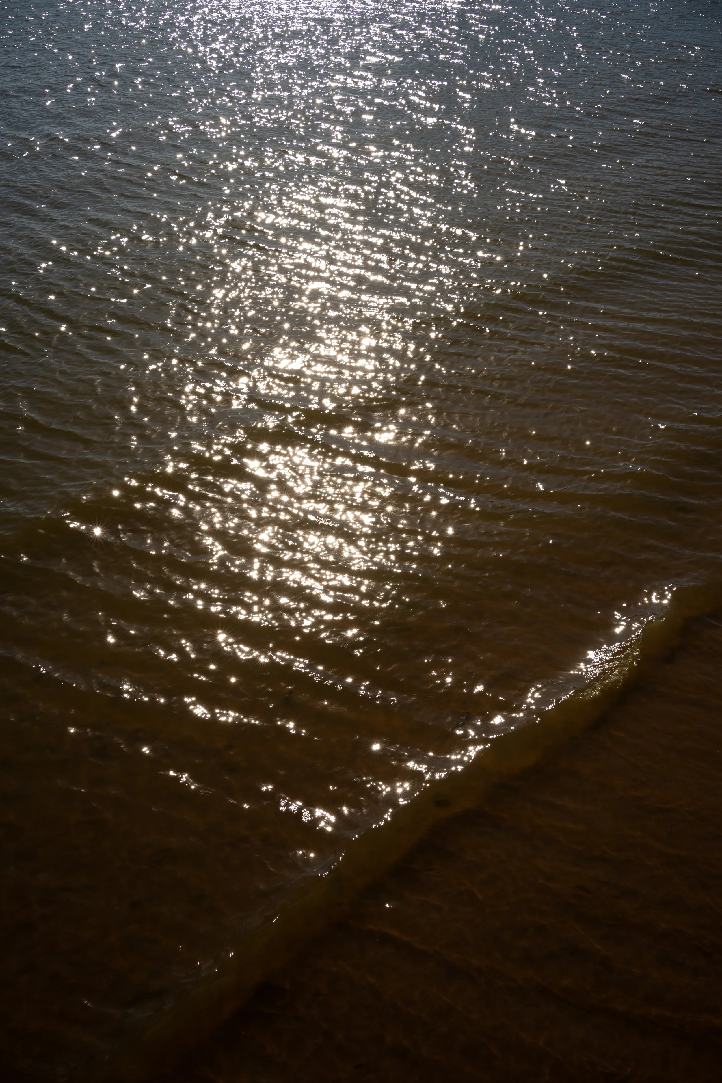 DSC04224-2.jpg