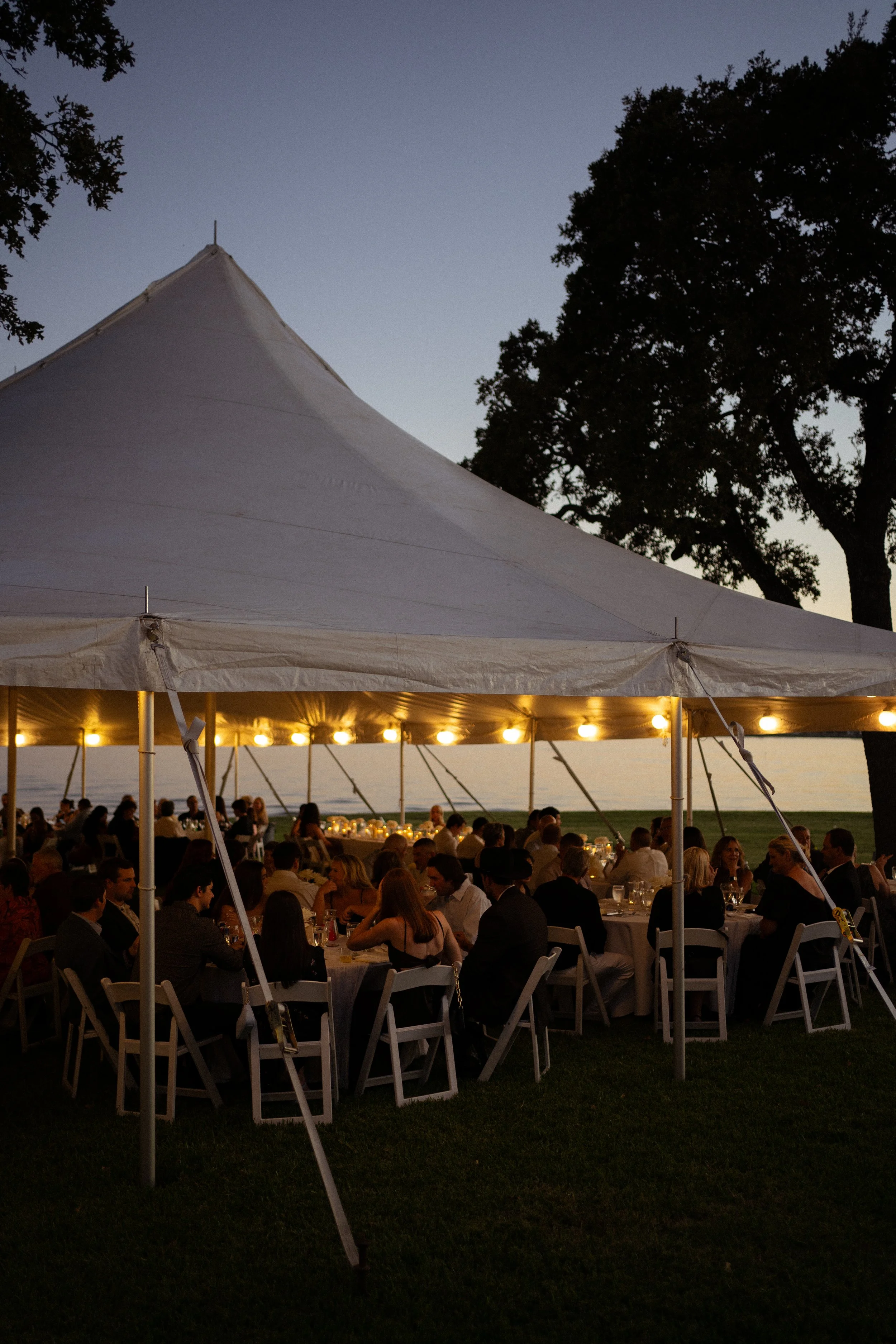 Reception tent set up for an intimate backyard wedding celebration in Fort Worth, Texas.
